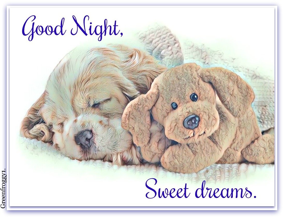 GOOD NIGHT Image - ID: 360444 - Image Abyss