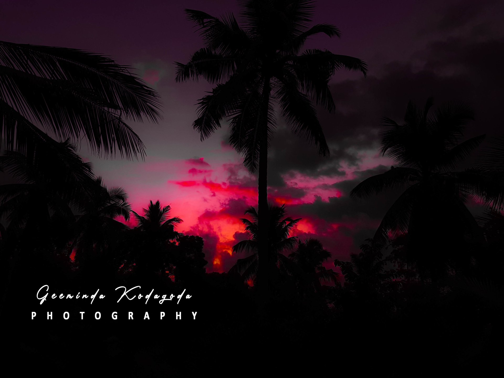 nature photography sunset Image