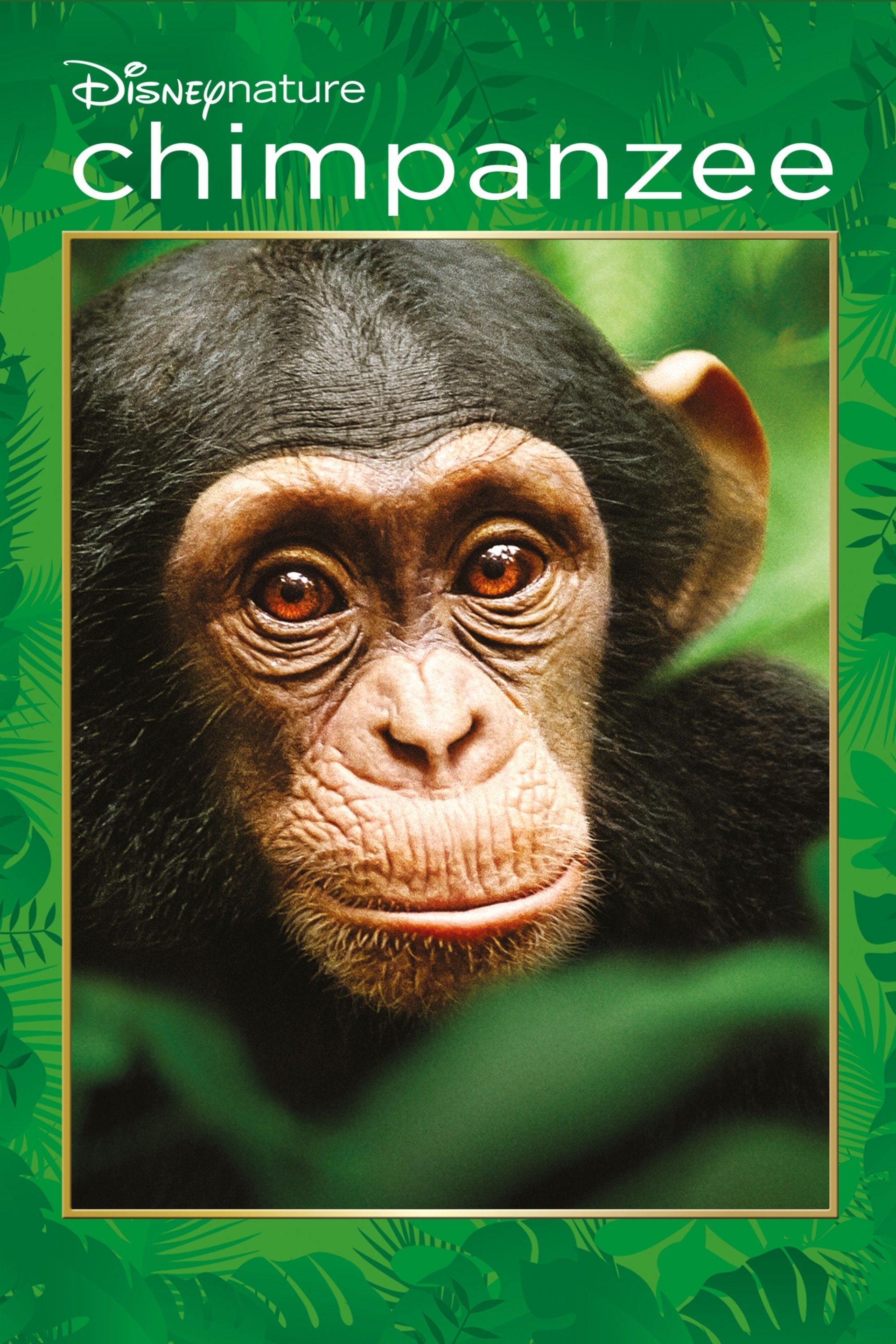 movie chimpanzee Image
