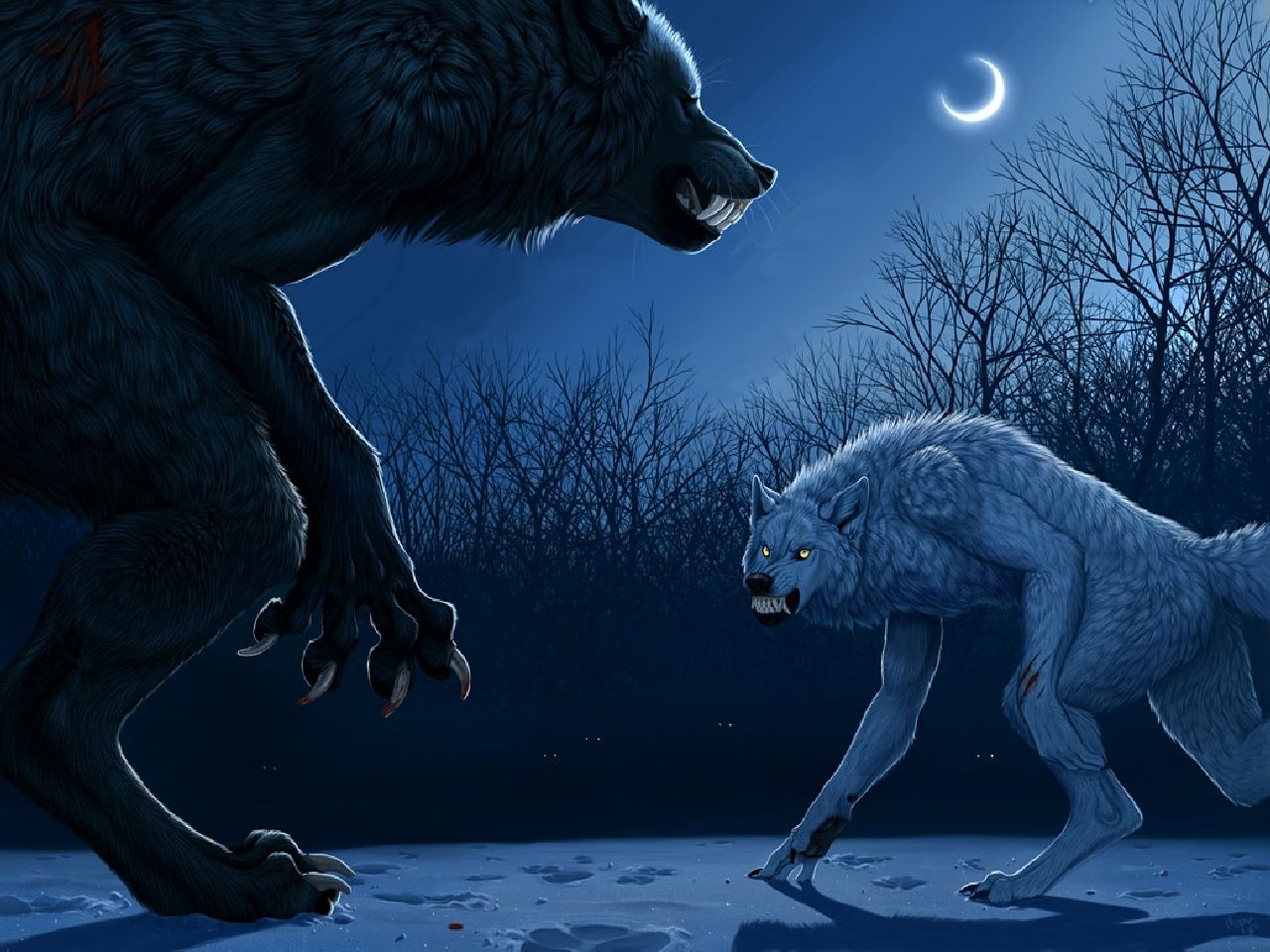 A dark forest scene features two werewolves, one black and one white, frozen in a tense standoff under a crescent moon amidst silhouetted trees.