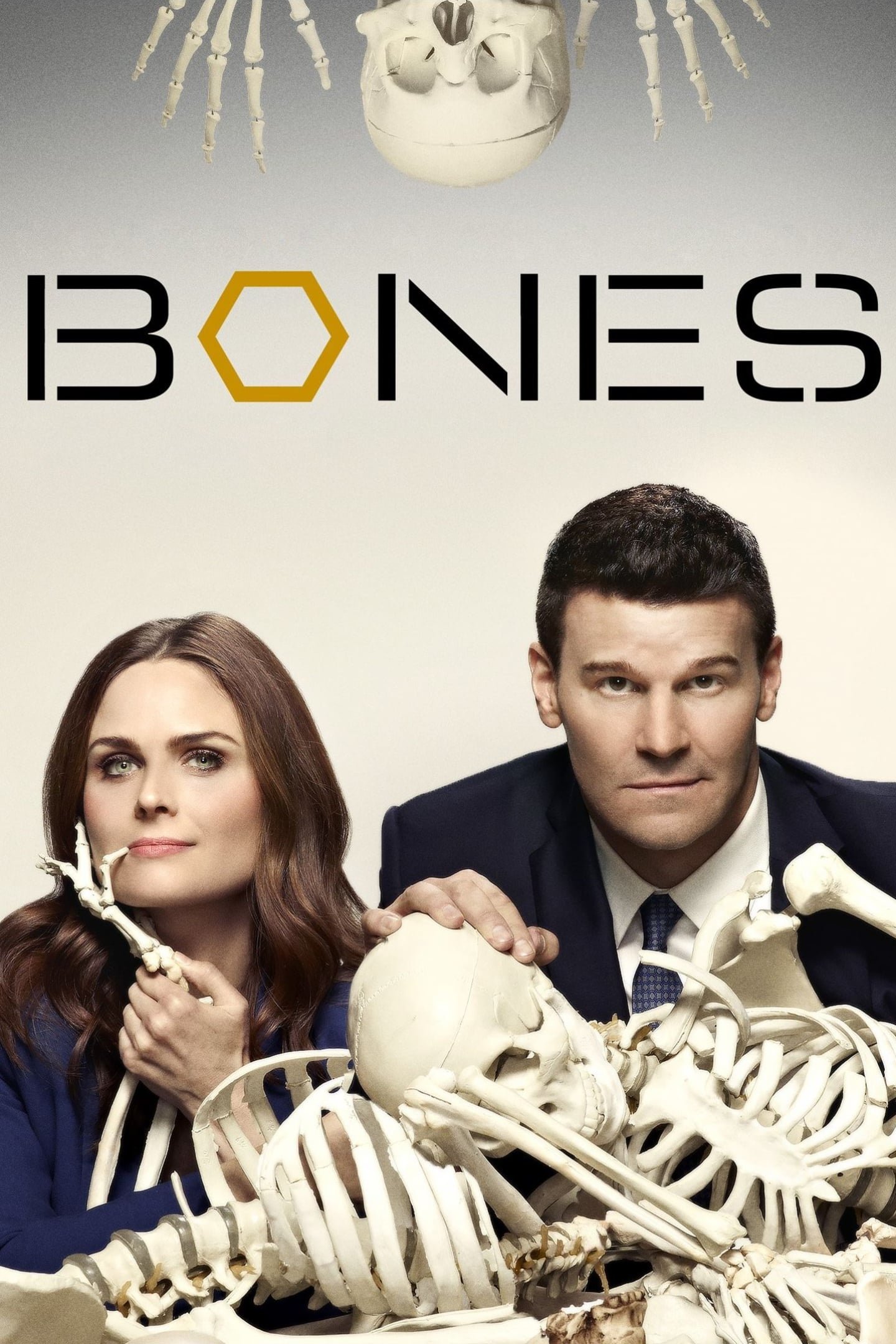 TV Show bones Image