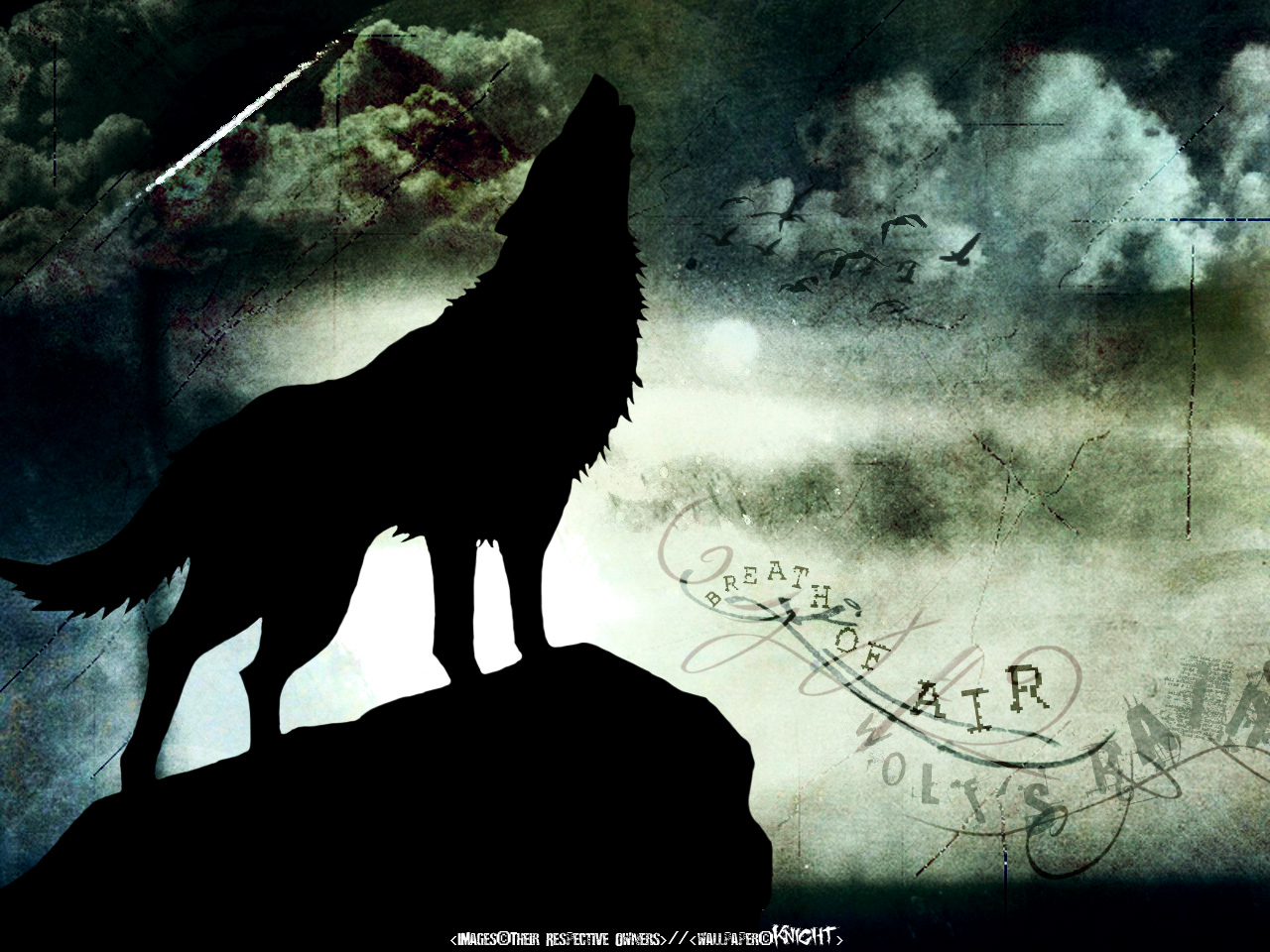 wolf's rain Picture