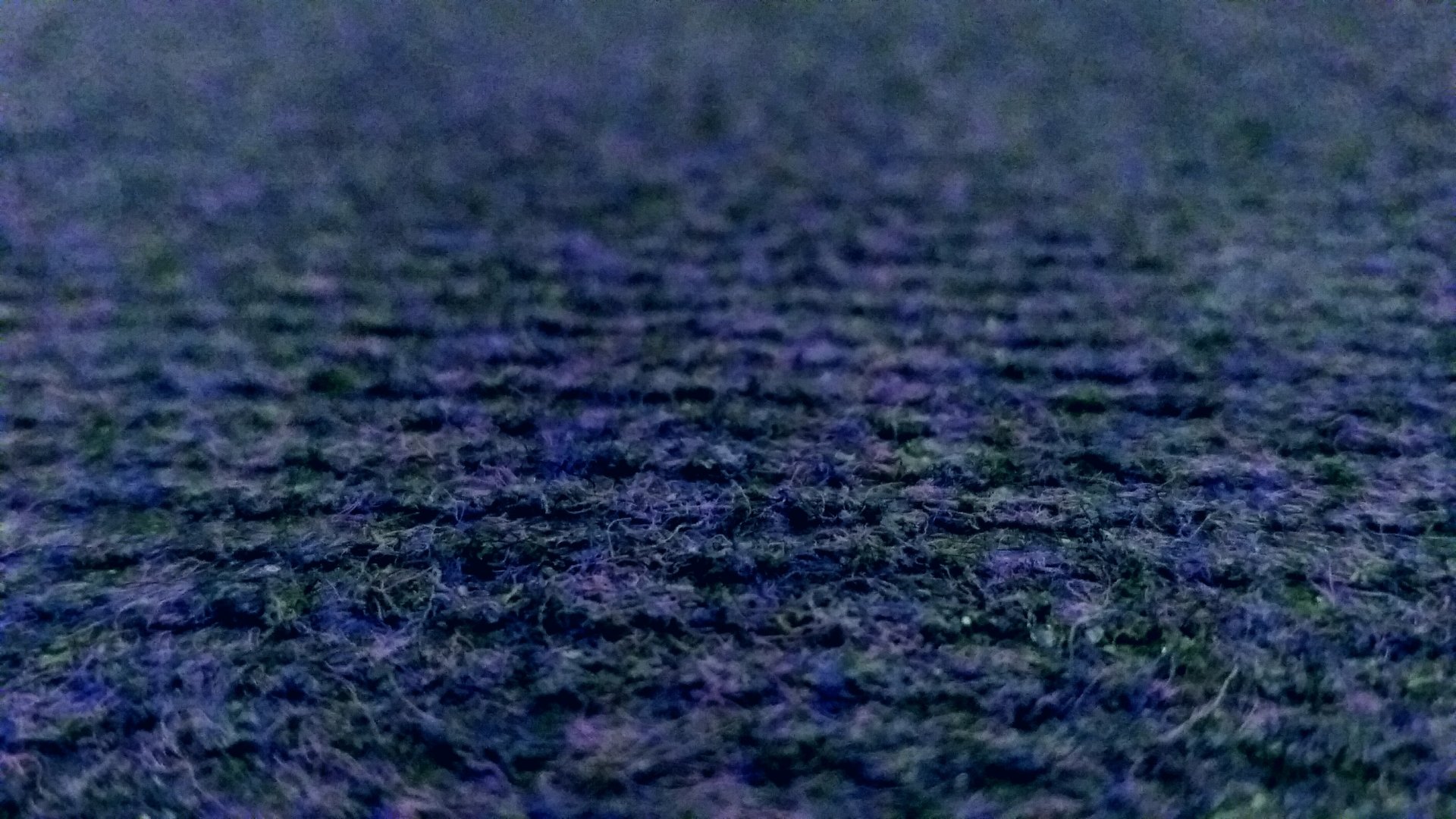 lines Abstract purple abstract purple Image