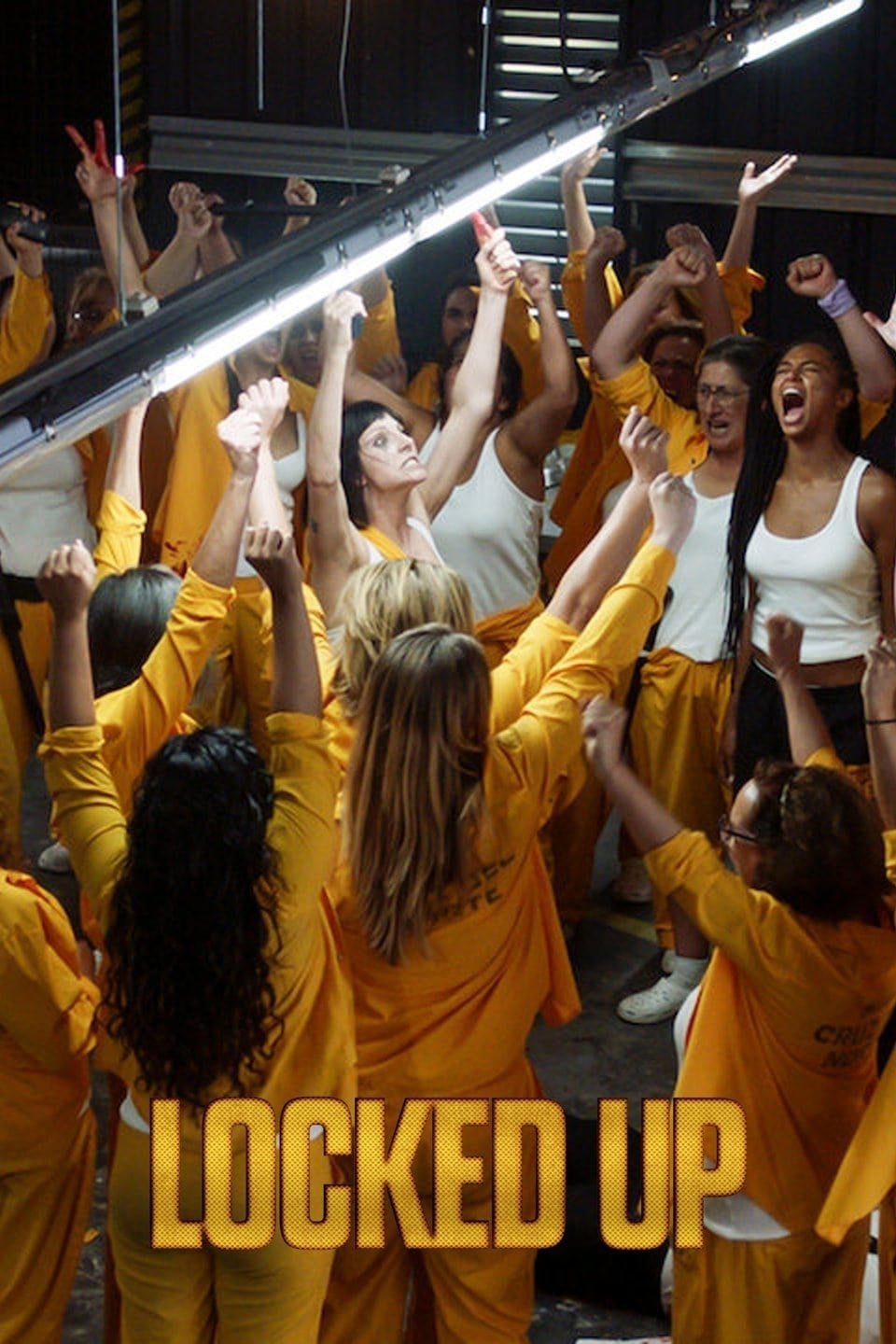 TV Show Vis a Vis Image