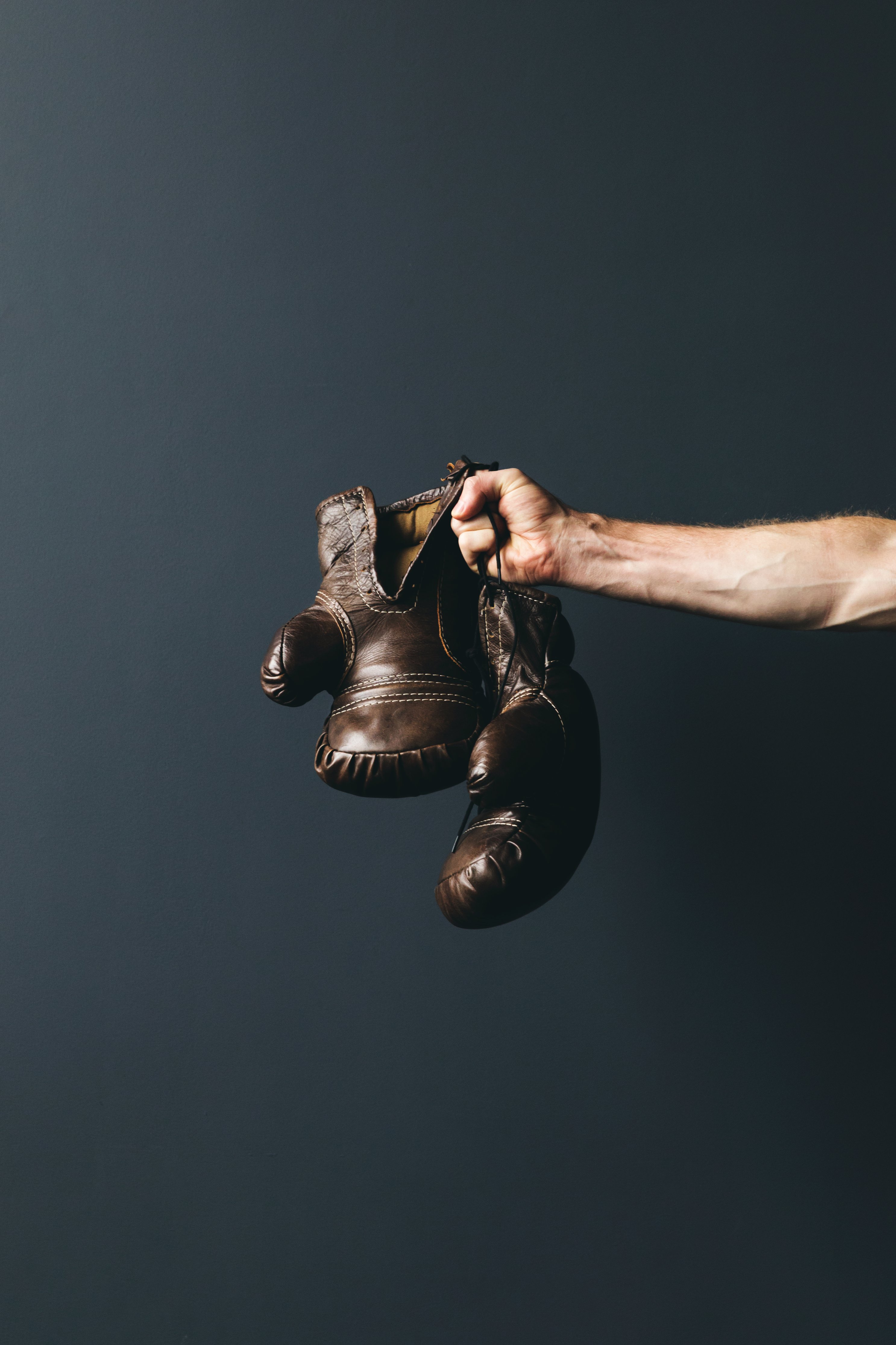 Vertical Antique Boxing GLoves by Sarah Pflug