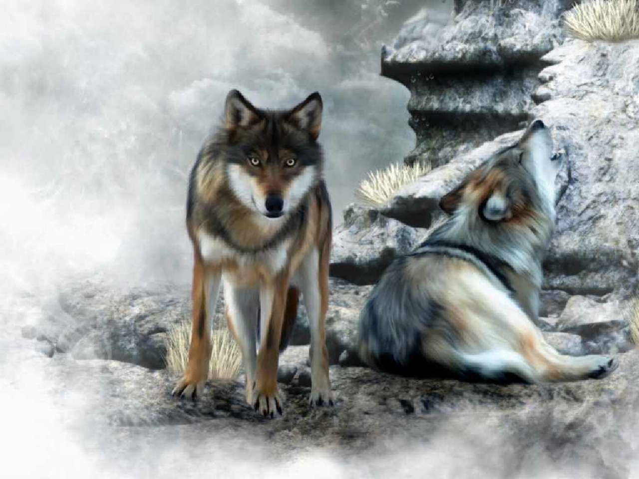 Wolf Picture - Image Abyss