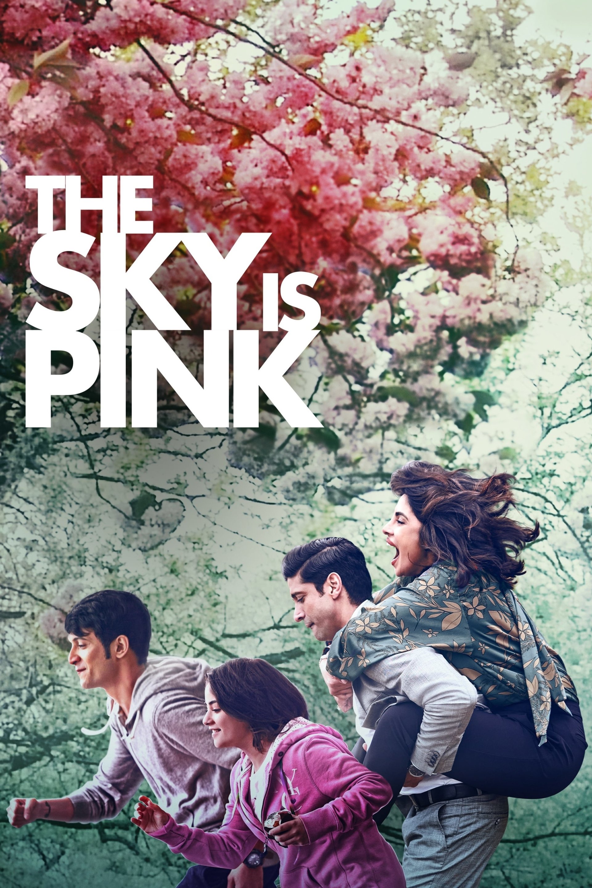 movie The Sky Is Pink Image