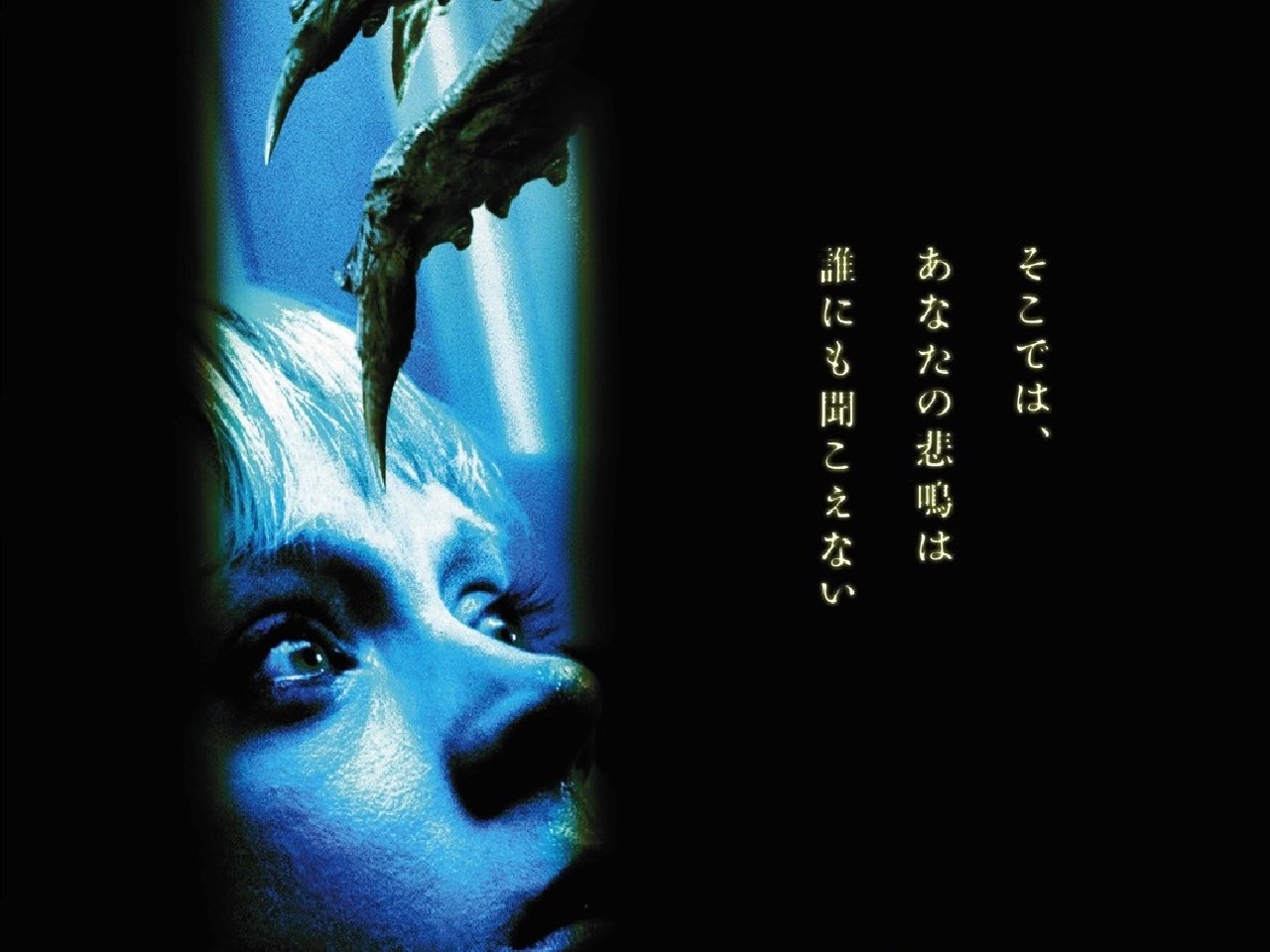 movie storage 24 Image