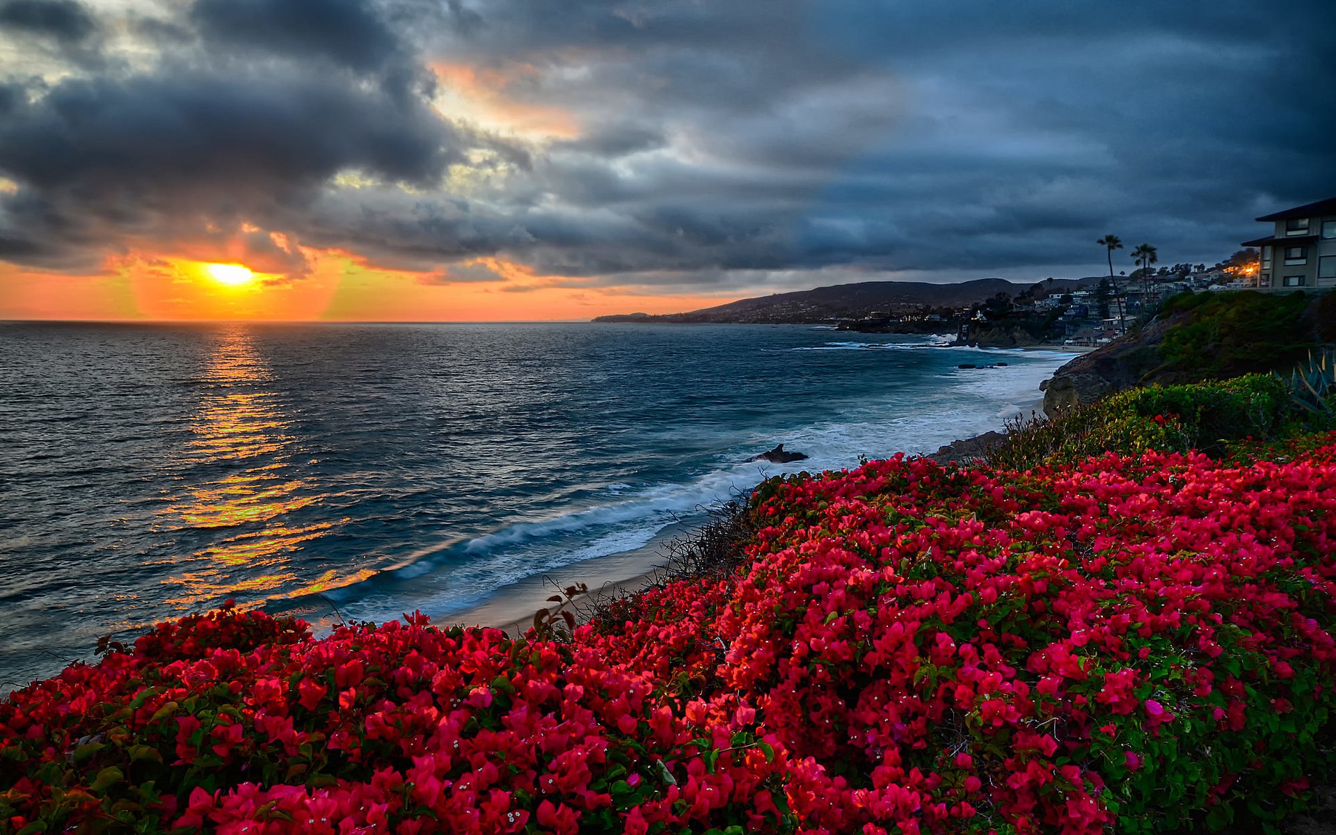 Coast of Laguna. Beach in California Image - ID: 364889 - Image Abyss