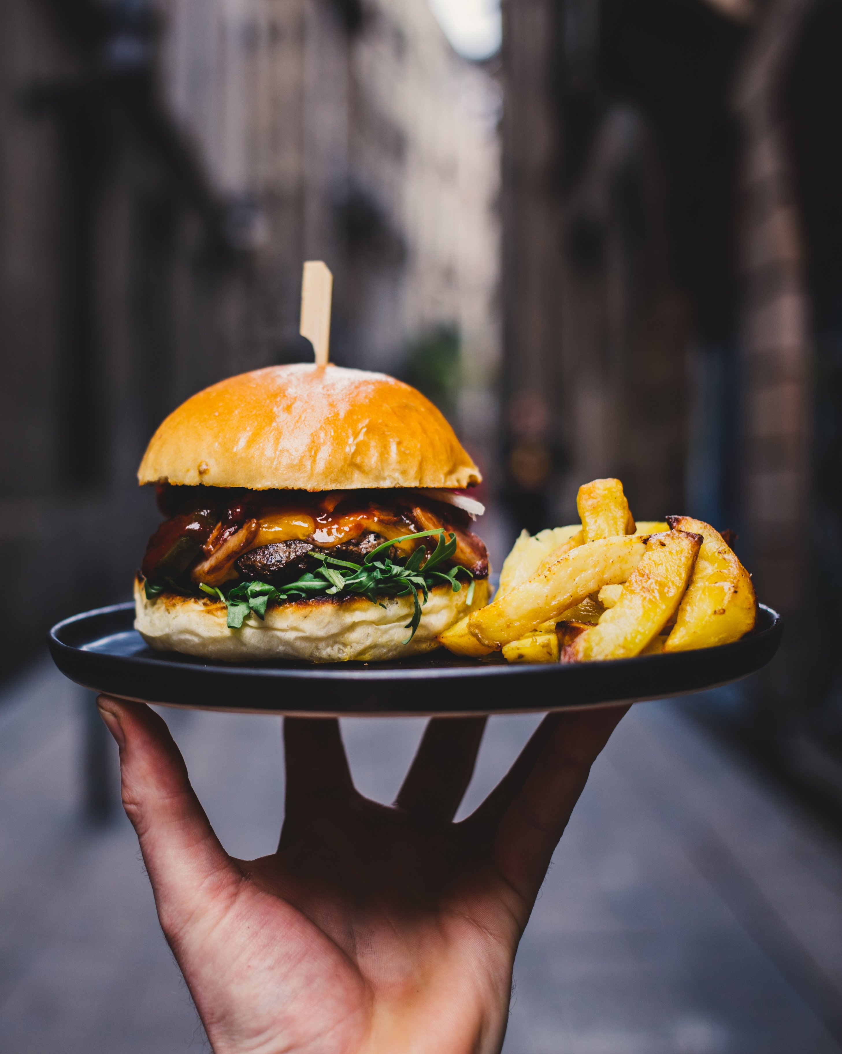 Hamburger And Fries by Brodie Vissers Image Abyss