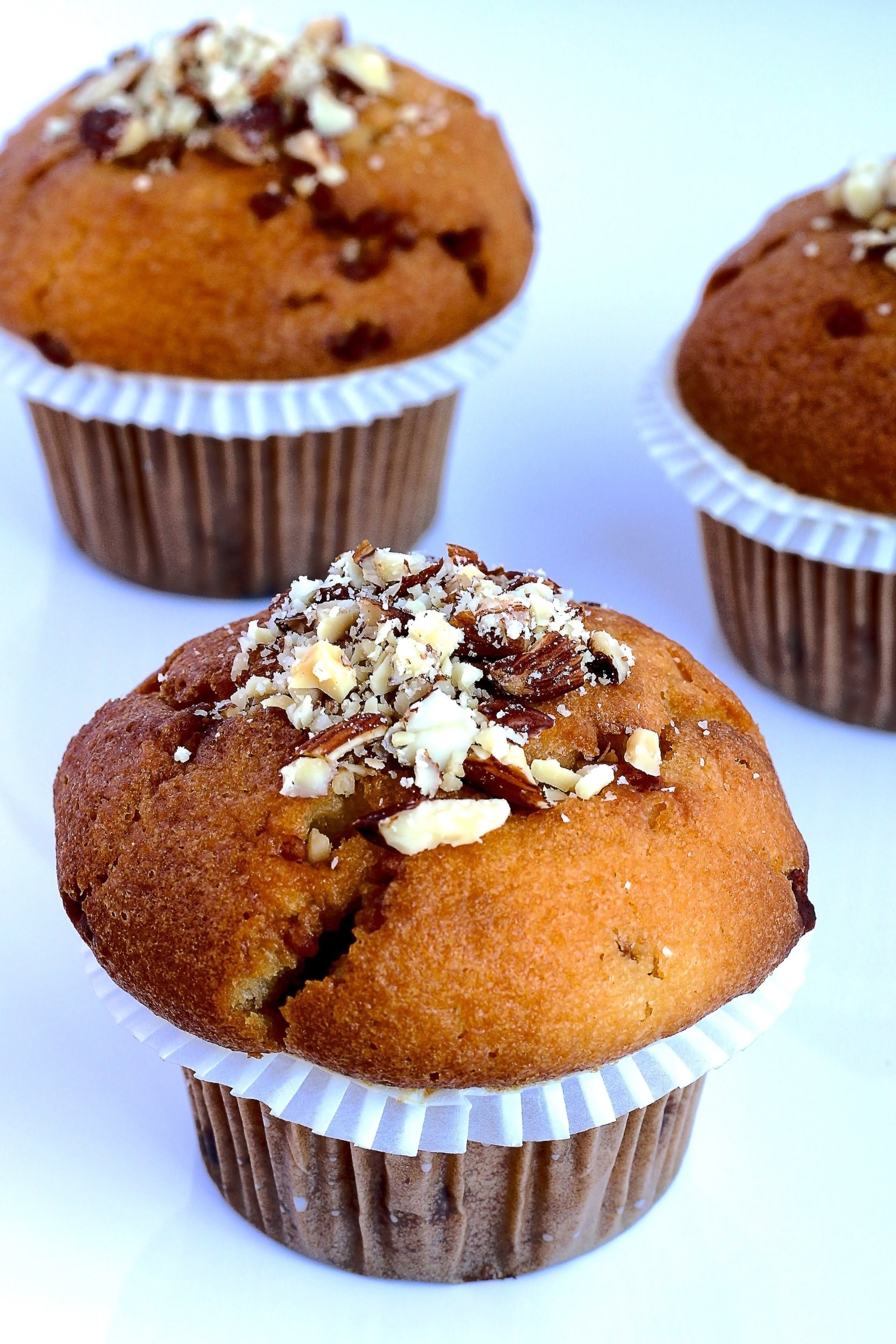  Breakfast Muffins by Sheila Pedraza Burk