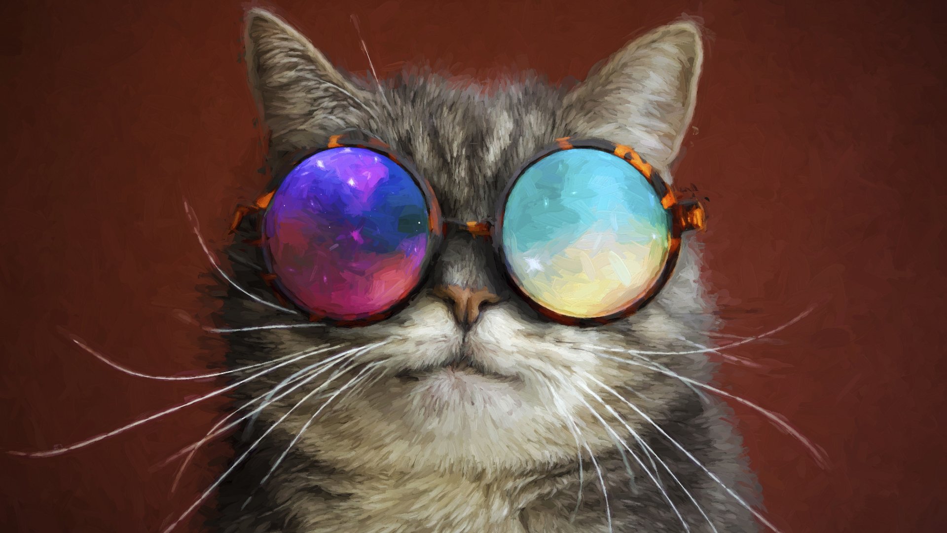 Cool Cat With Colorful Shades Image - ID: 365347 - Image Abyss