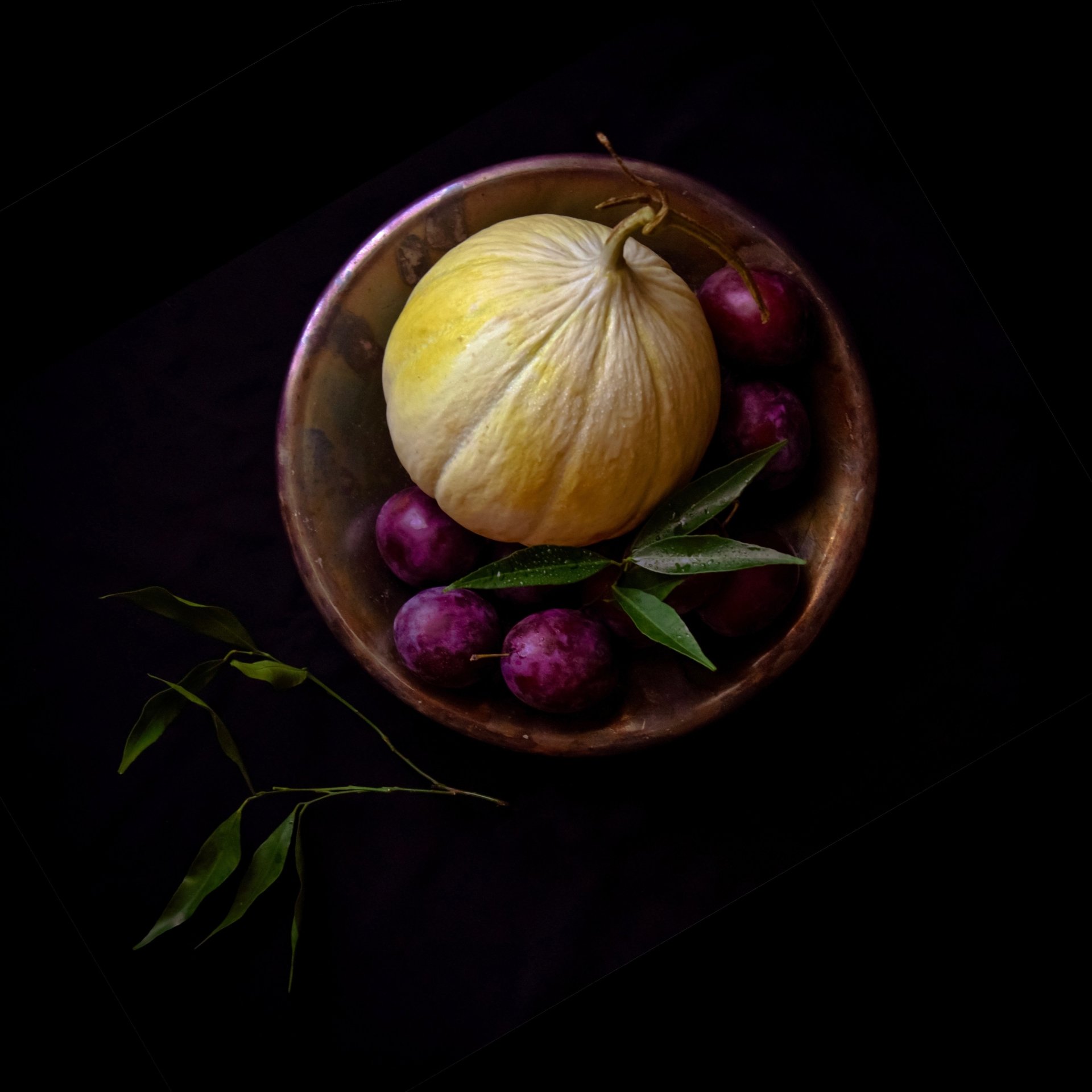  An Aged Melon In A Bowl Of Plums by Cansu Tastan