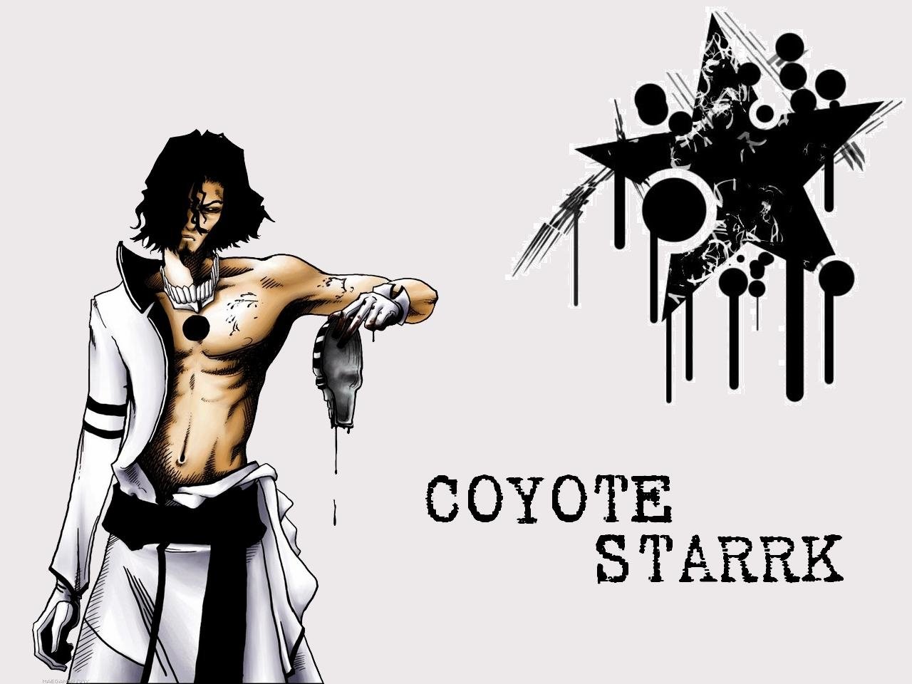 Coyote Starrk - Desktop Wallpapers, Phone Wallpaper, PFP, Gifs, and More!