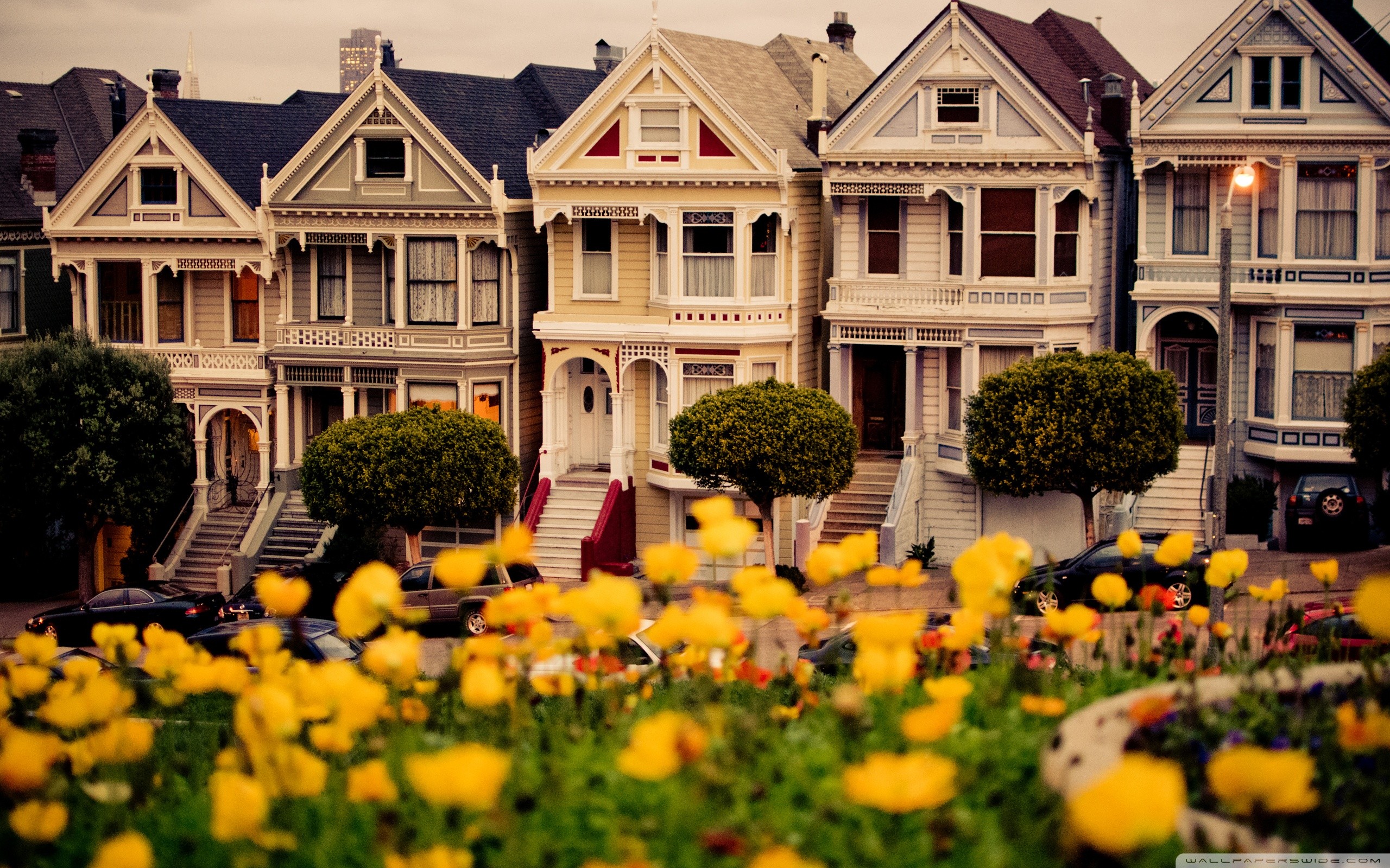 San francisco dom. Дом в Сан Франциско. Разукрашенные леди Сан-Франциско. Улица Steiner("painted Ladies") Сан-Франциско.. Красивые улицы с домами.