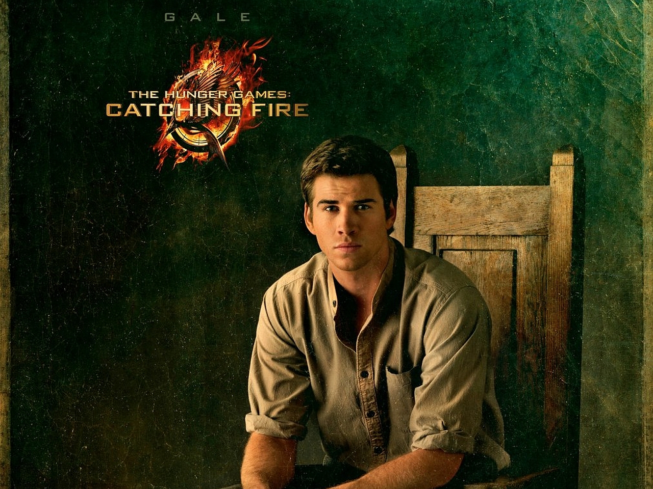 The Hunger Games: Catching Fire Picture