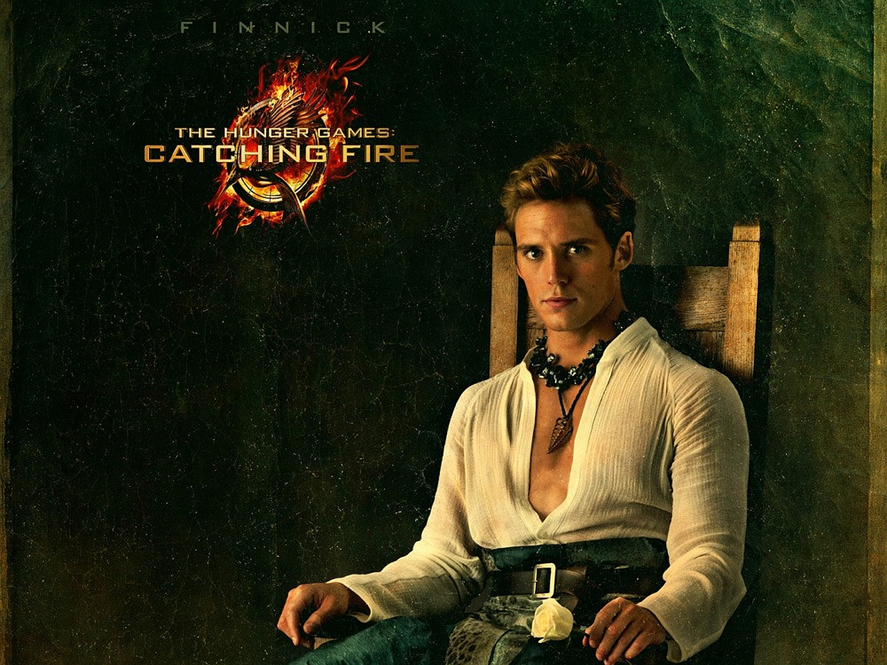 The Hunger Games: Catching Fire Picture
