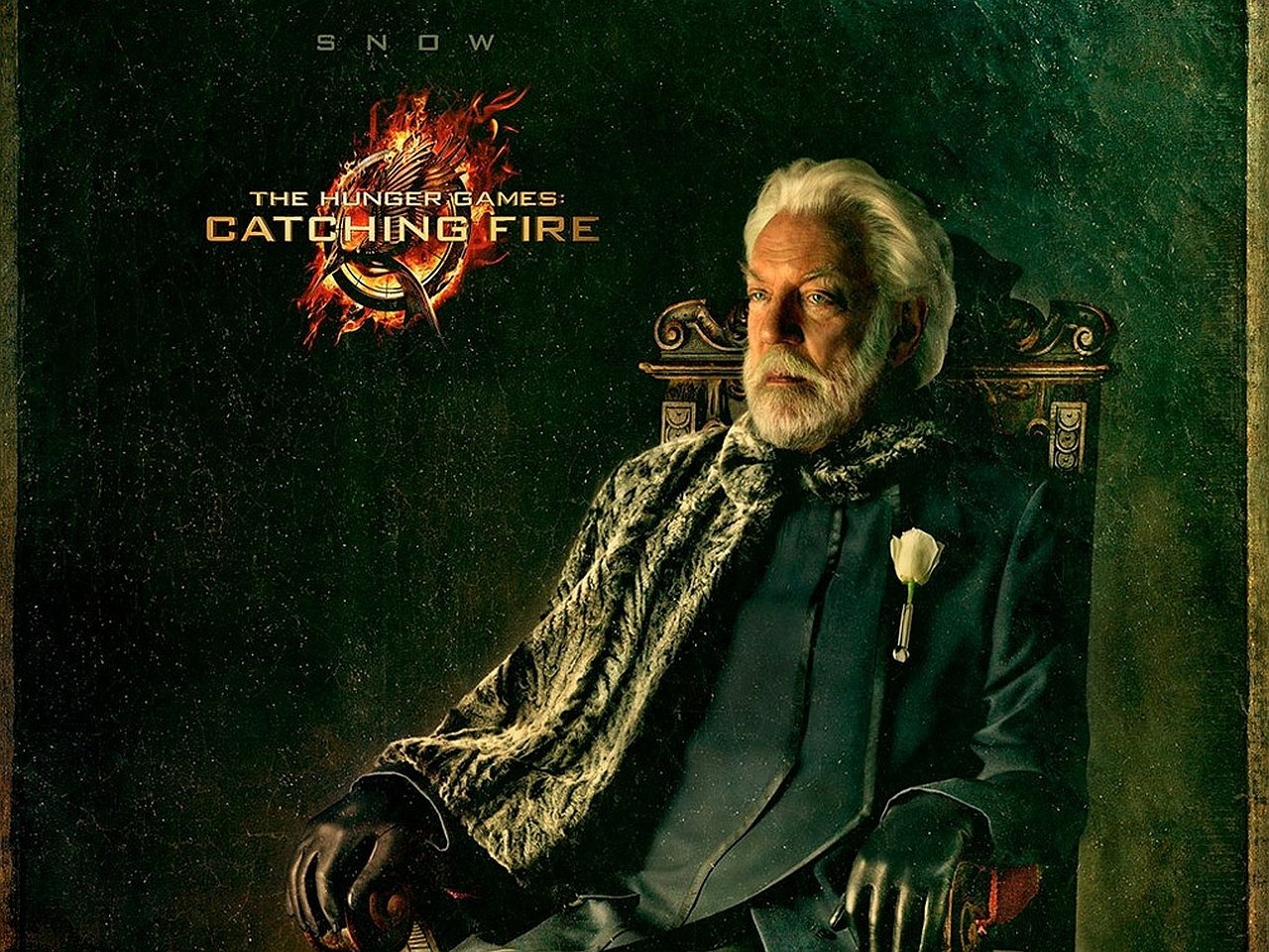 movie The Hunger Games: Catching Fire Image