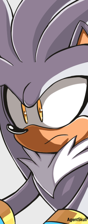 Silver the Hedgehog video game Sonic the Hedgehog Image
