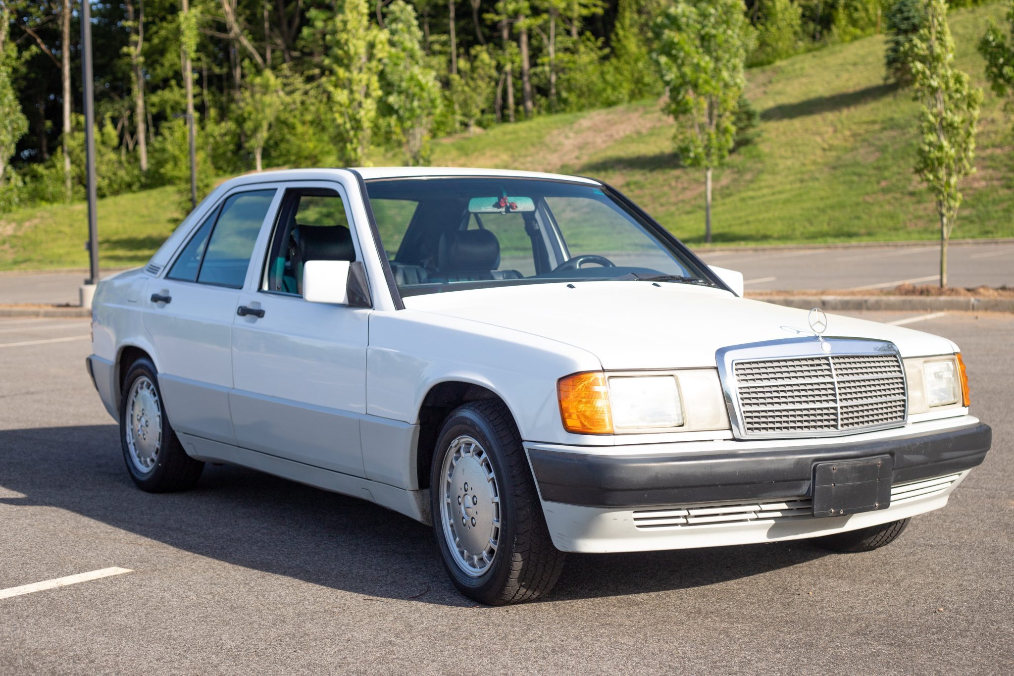 1993 Mercedes-Benz 190E 2.3 - Image Abyss