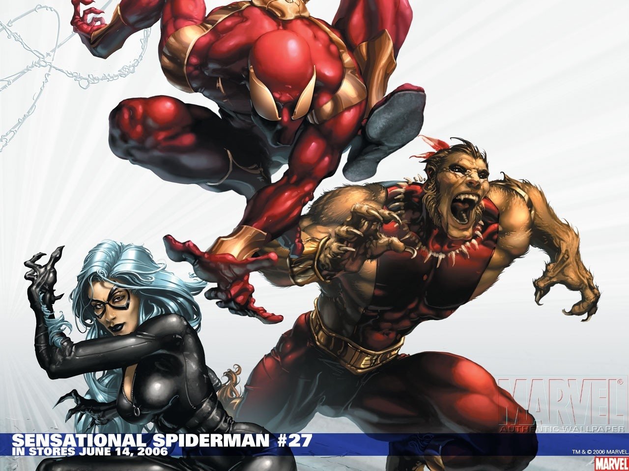 Download Black Cat (Marvel Comics) Spider Man Comic Sensational Spiderman Image