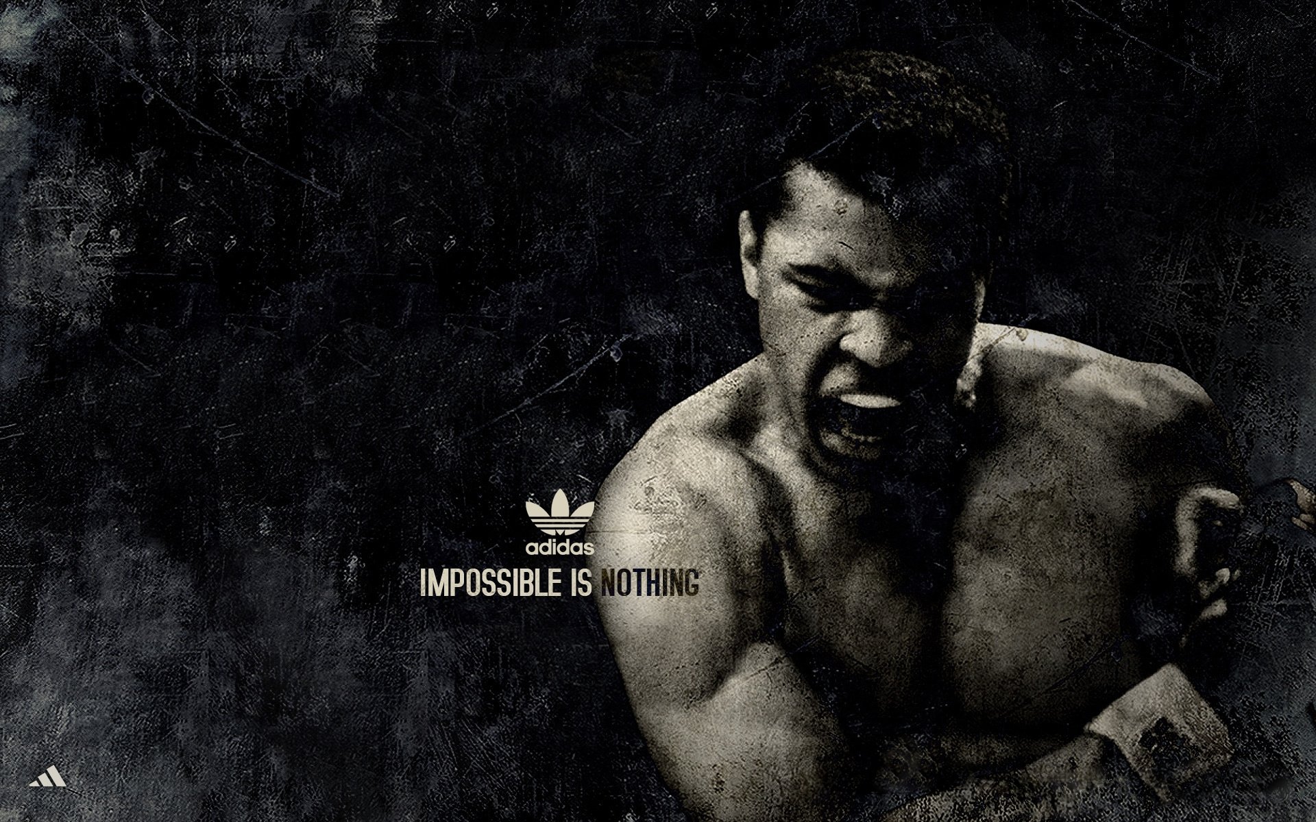  Muhammad Ali - Adidas