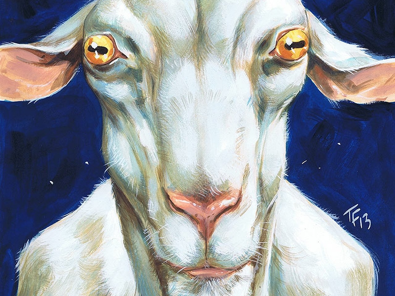 Comic Quantum and Woody Image