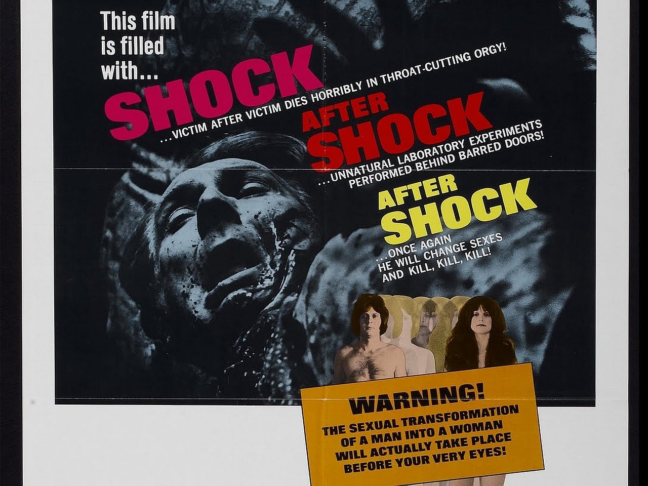 Horror movie poster for Dr. Jekyll and Sister Hyde: a screaming stone face, bold red Shock After Shock headlines, small images of two women and a yellow warning box about transformation.