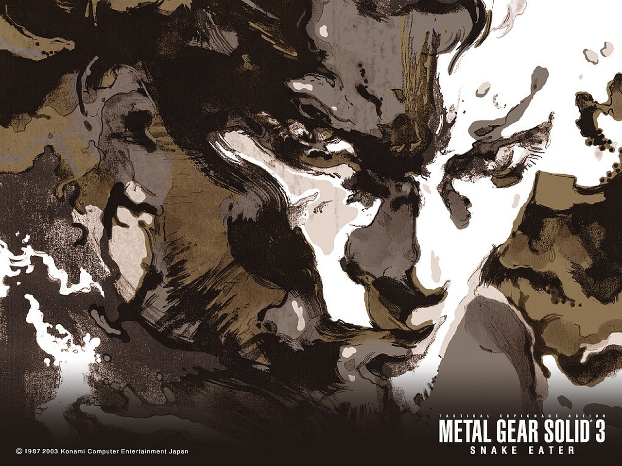 Metal Gear Solid 3: Snake Eater Picture