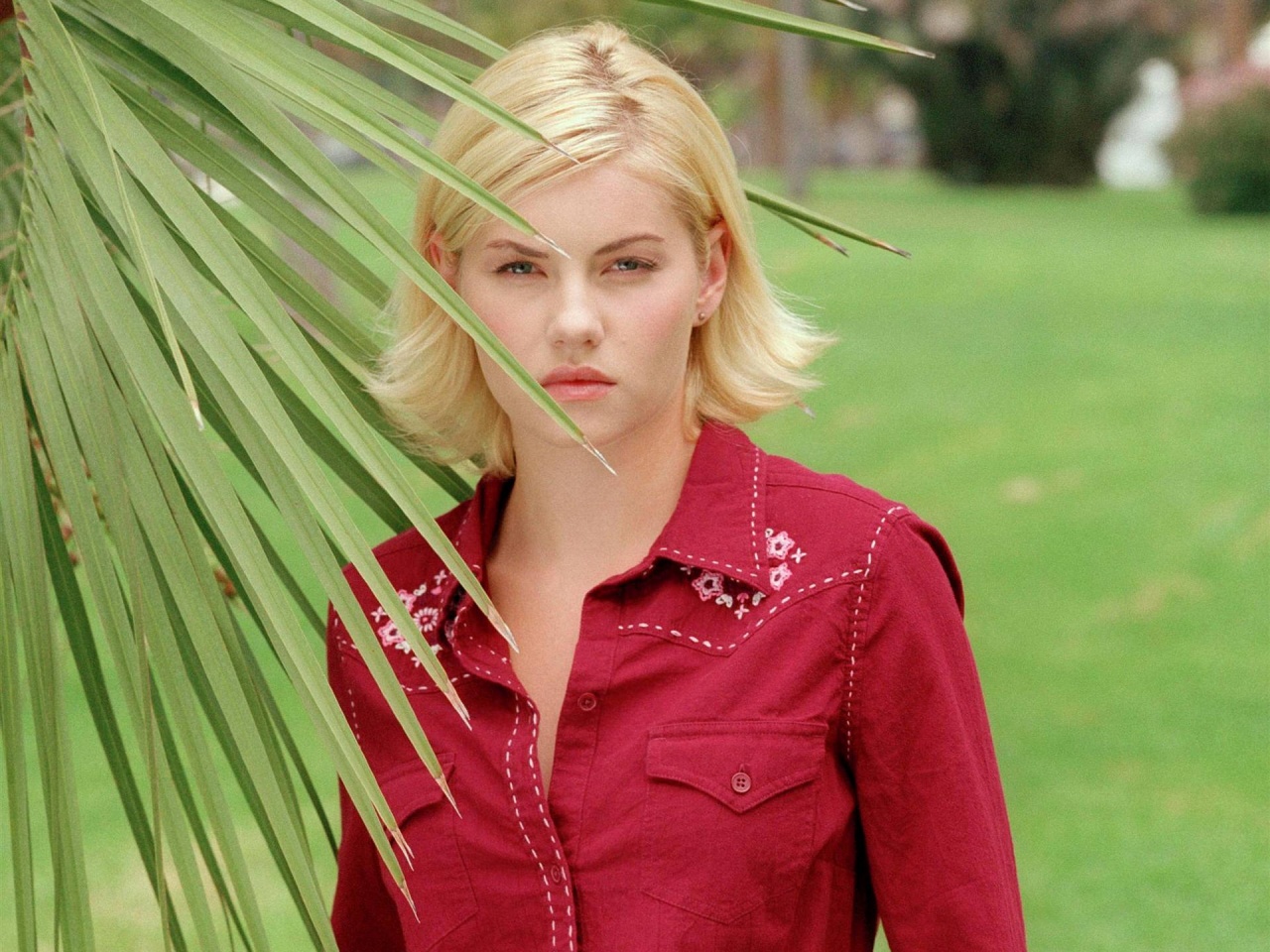 Elisha Cuthbert - Desktop Wallpapers, Phone Wallpaper, PFP, Gifs, and More!