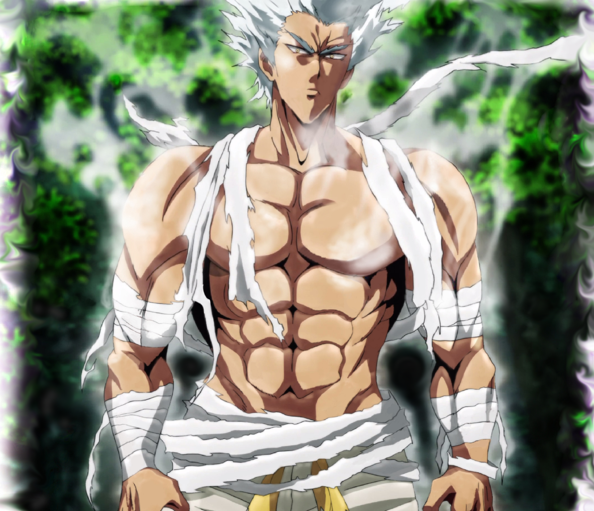 Garou (One-Punch Man) Anime One-Punch Man Image