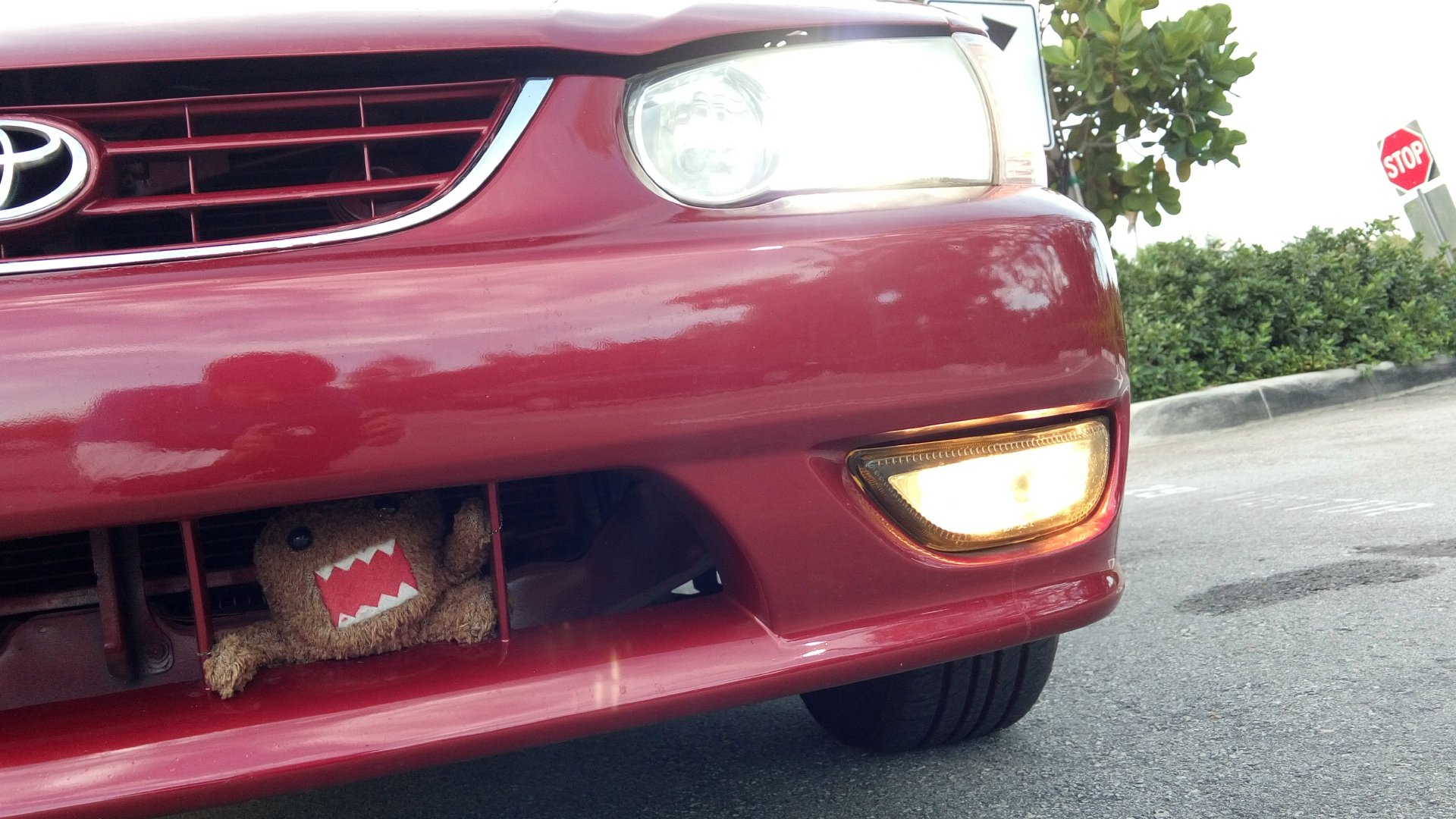 vehicle Toyota Corolla Image