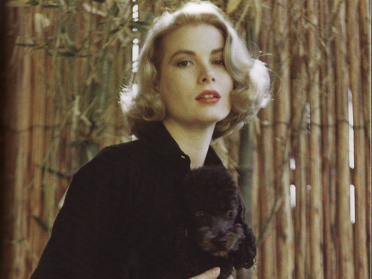 Celebrity Grace Kelly Image