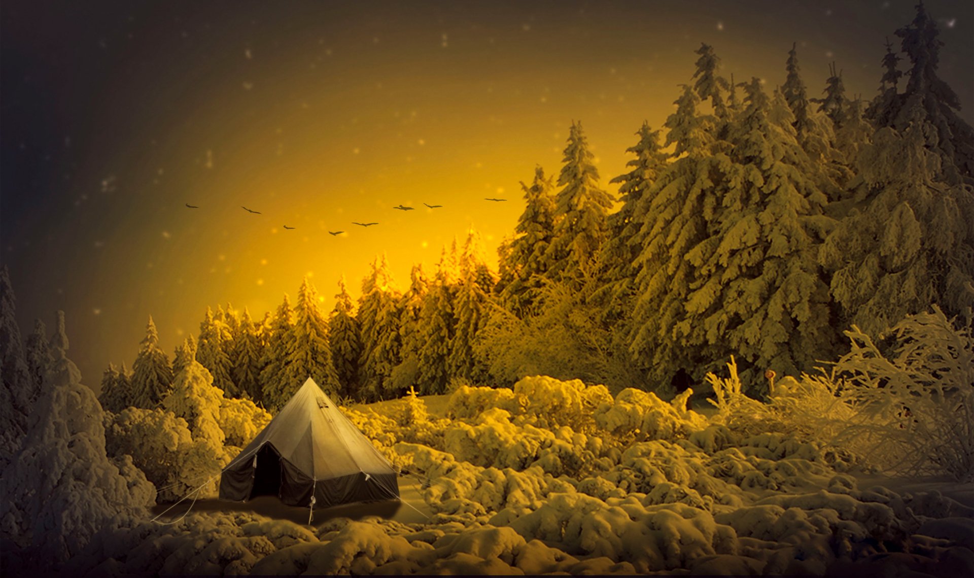 night tent snow artistic winter winter night night snow Image