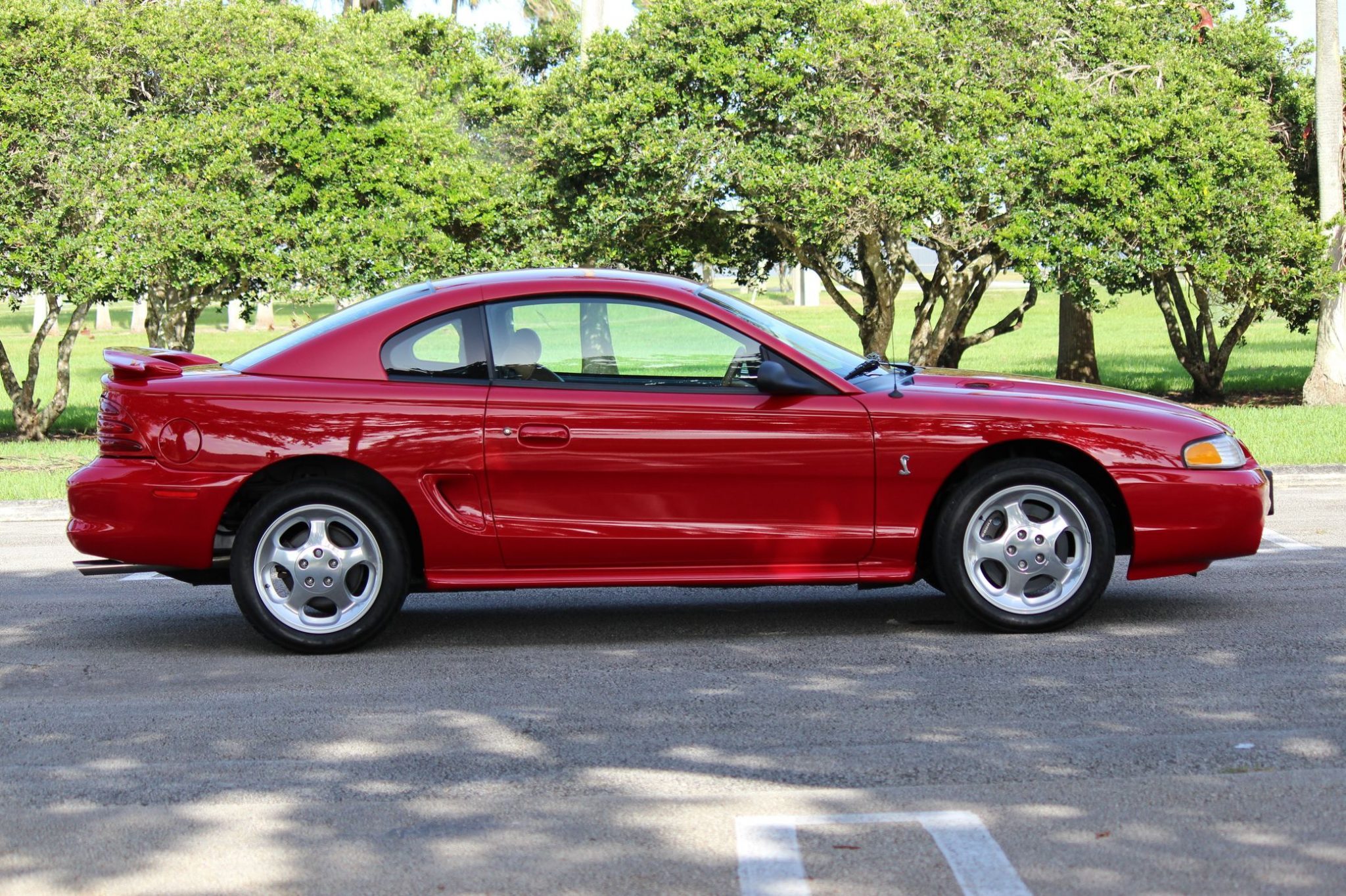 1994 Ford Mustang Svt Cobra Image Abyss 2959