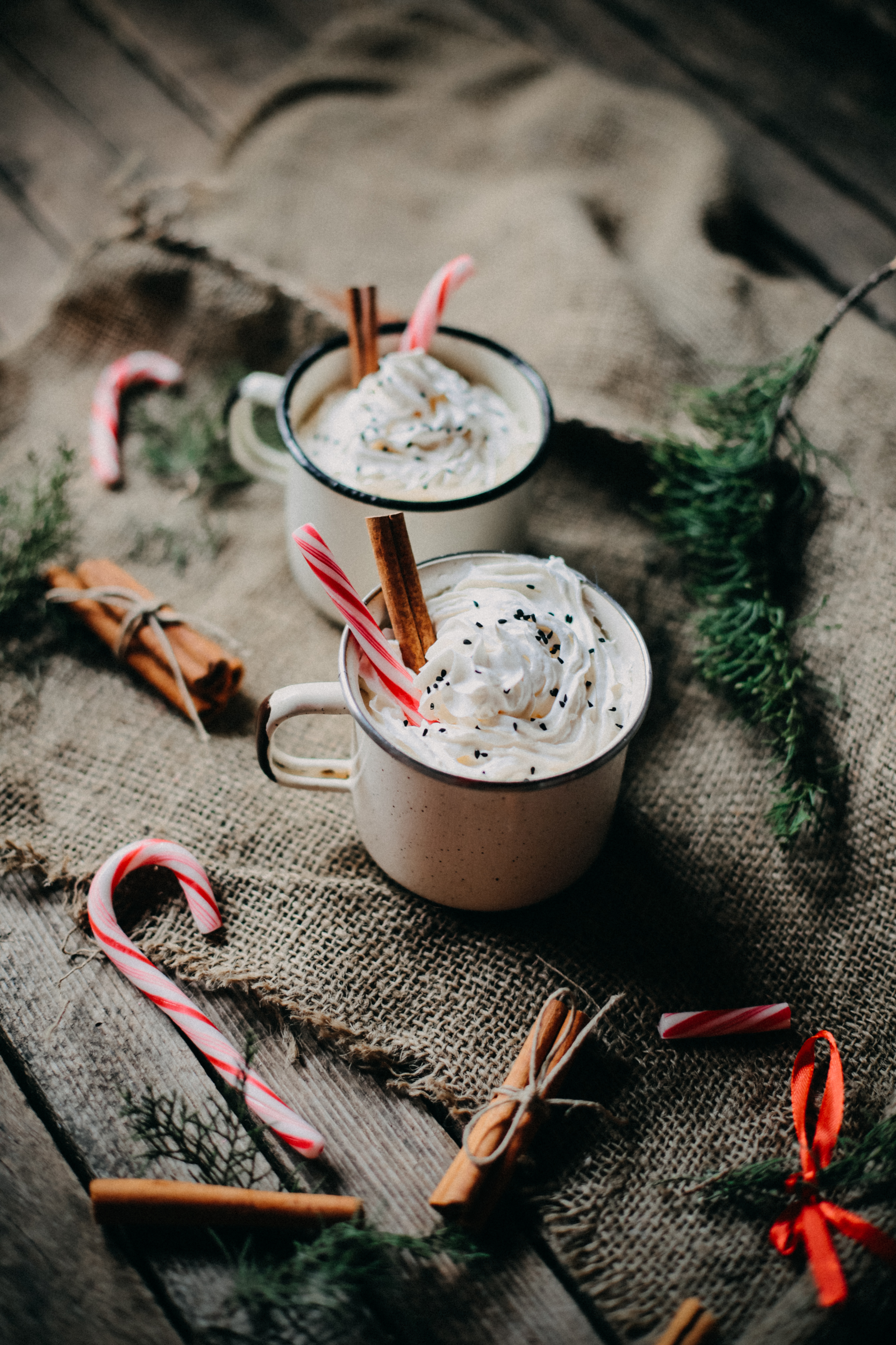 Hot chocolate with cream and dried cinnamon by Daniel Cuklev