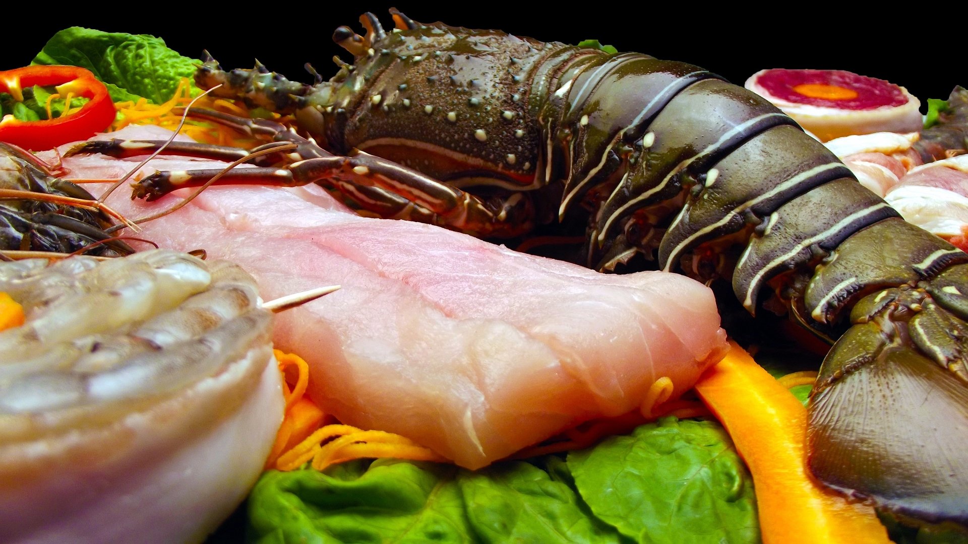 lobster fish macro food seafood Image