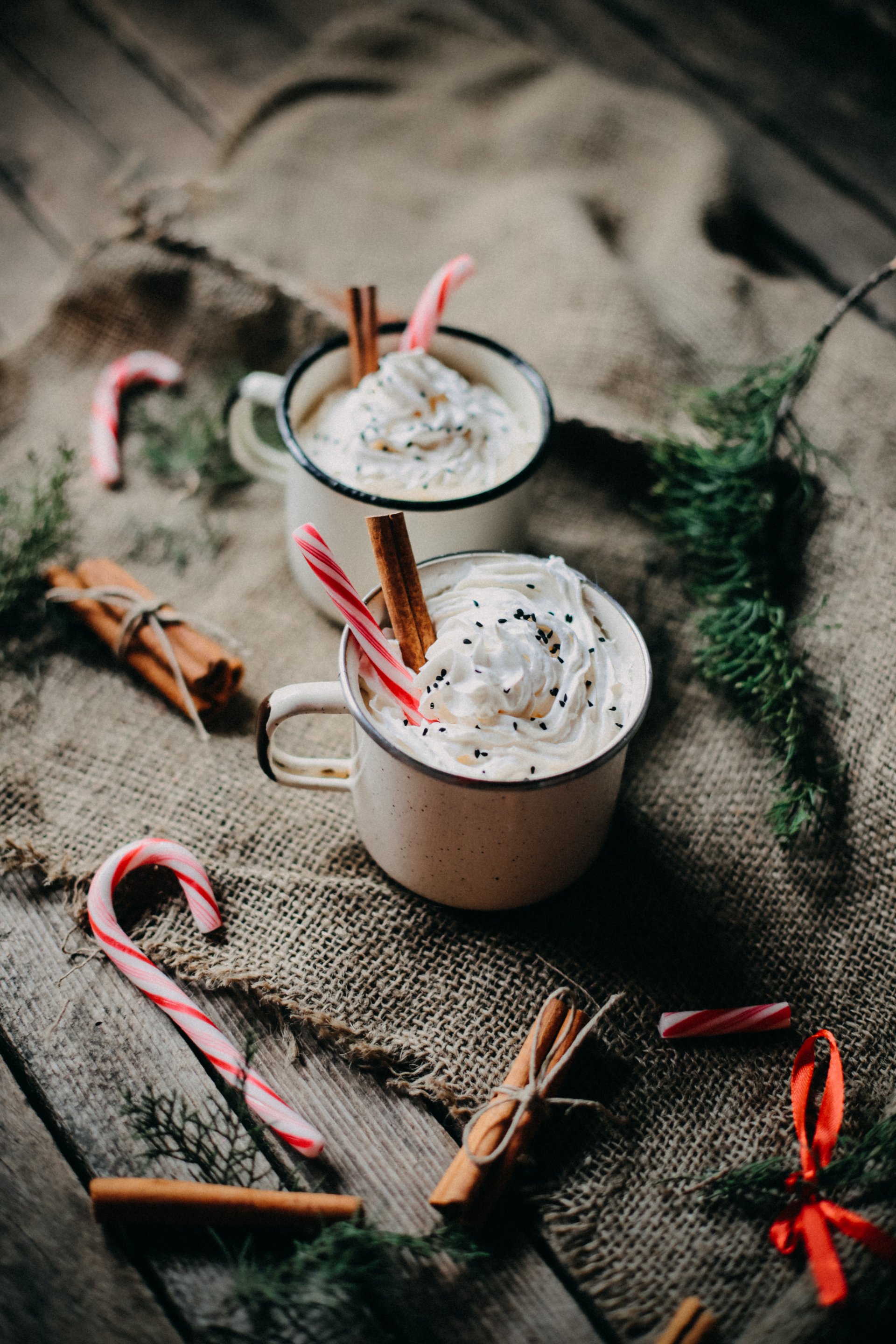  Hot chocolate with cream and dried cinnamon by Daniel Cuklev