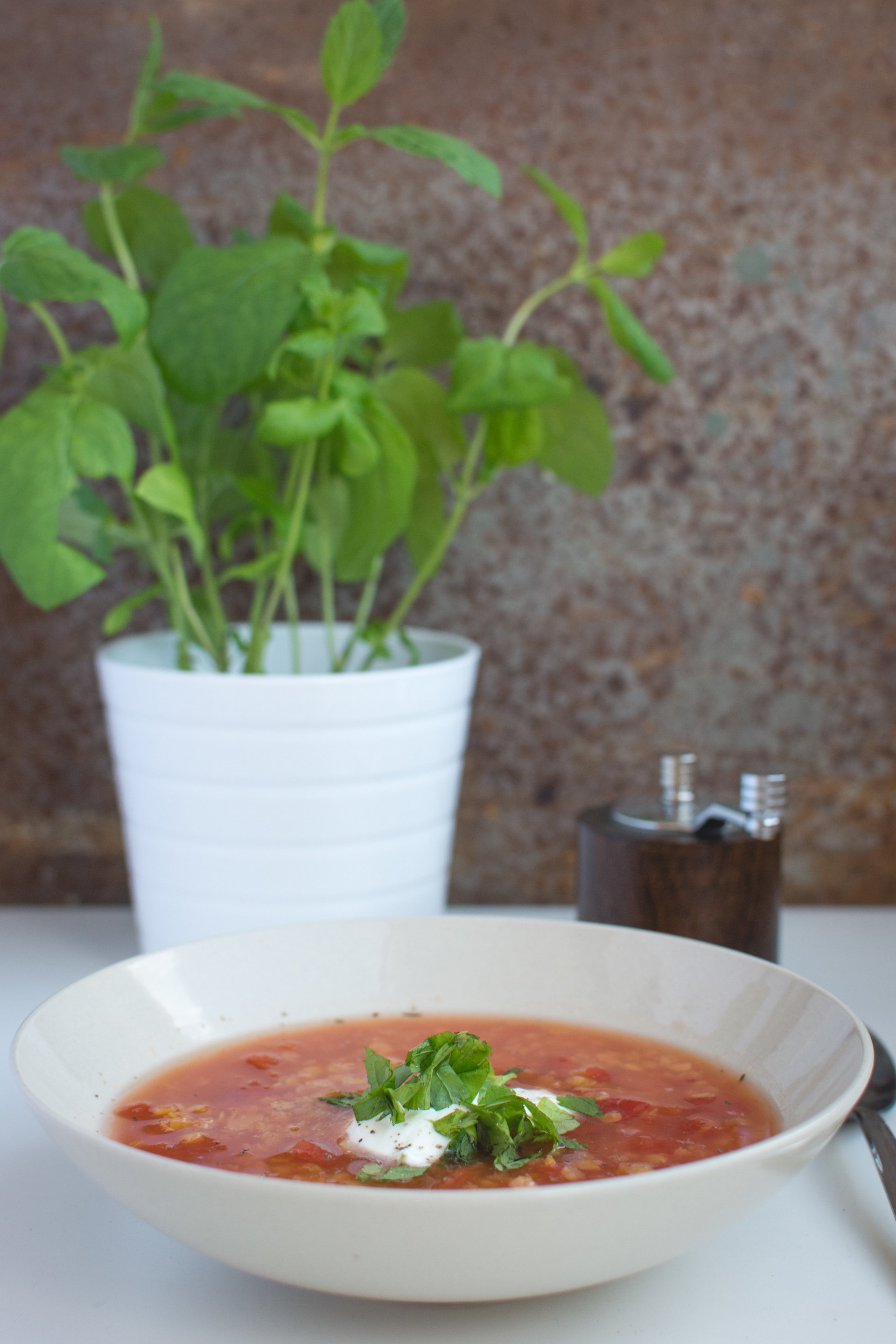  Red lentil soup with tomatoes, sour cream and mint by Jakub Kapusnak