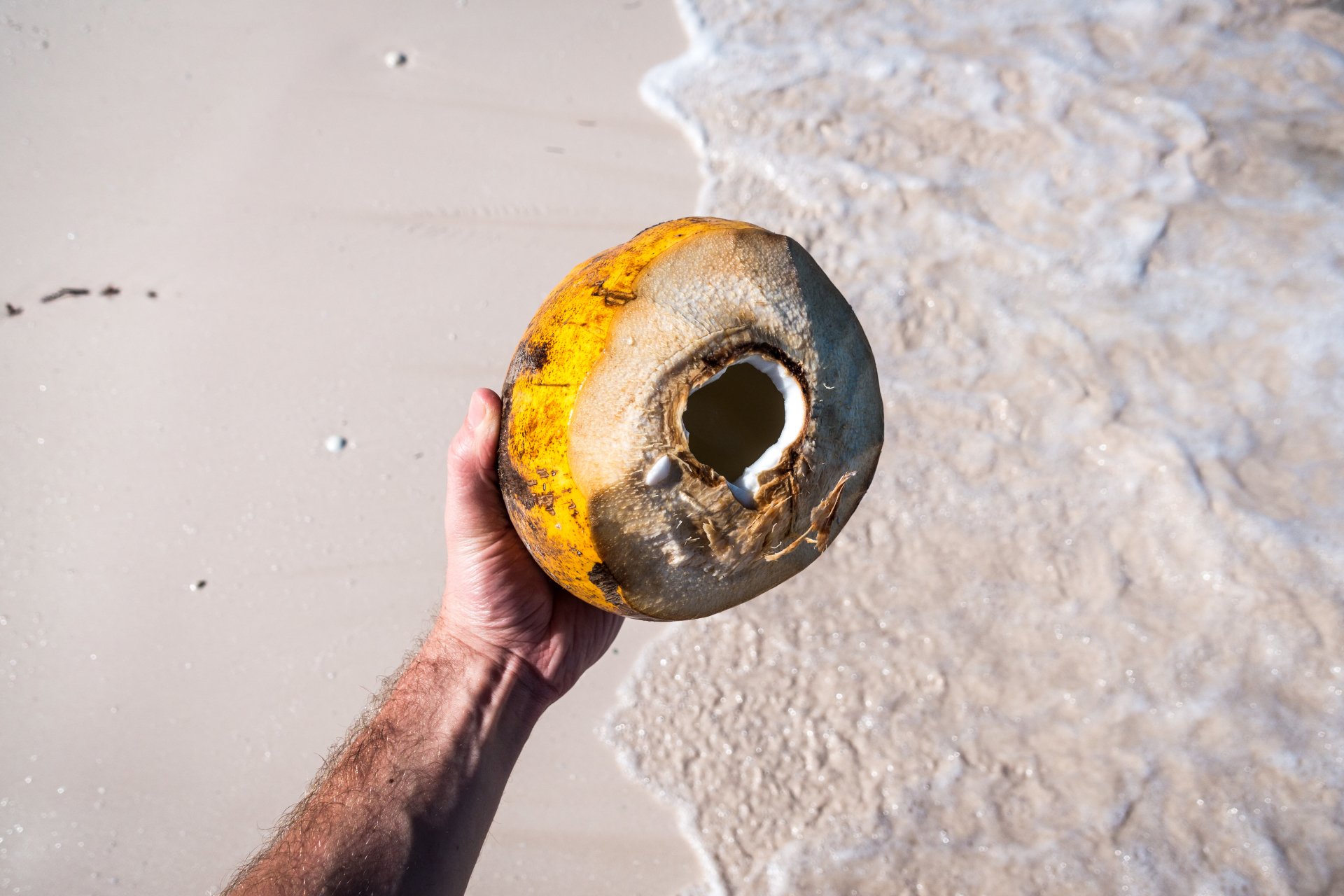  Drinking fresh young coconut on the beach by Jakub Kapusnak