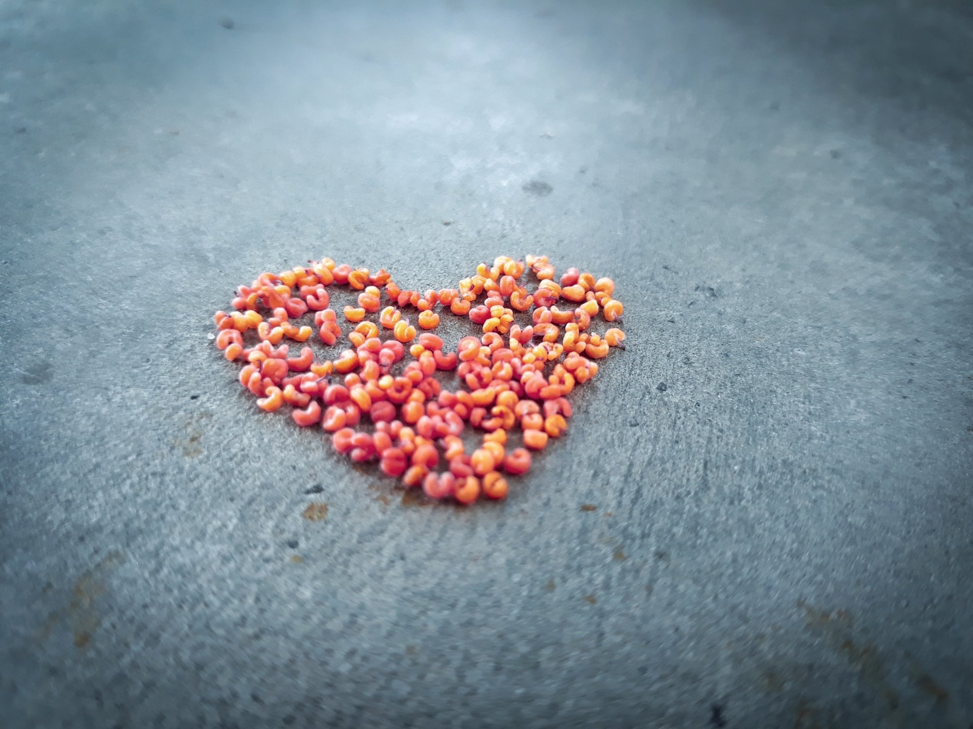 vintage love heart Image