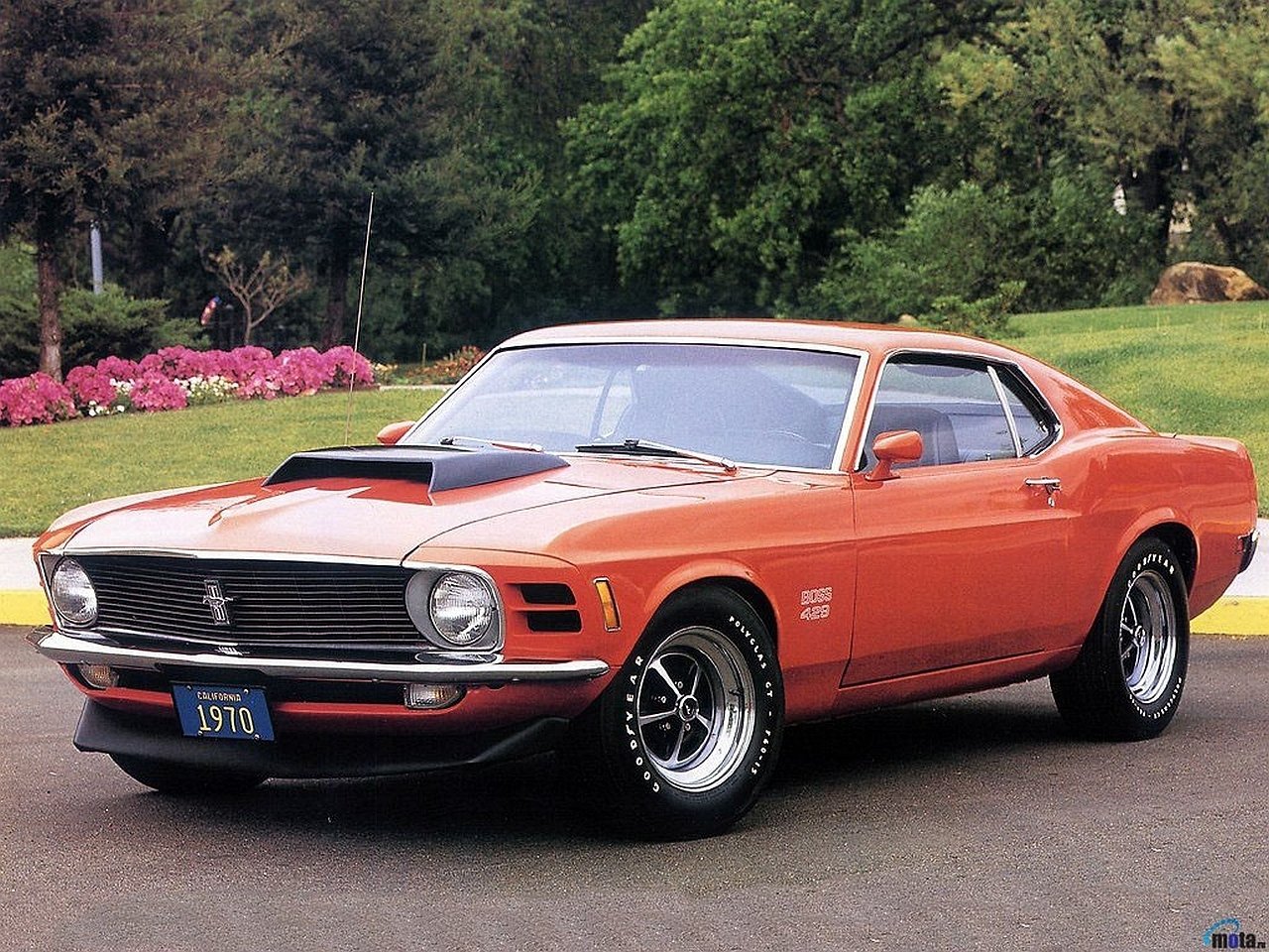 1970 orange Ford Mustang Boss 429 with a black hood scoop, chrome bumpers and mag wheels, parked on a driveway framed by green trees and flowering shrubs.