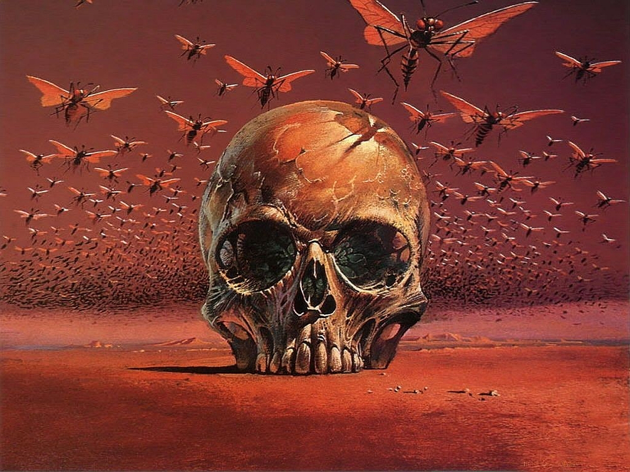 Skull Picture by Bruce Pennington