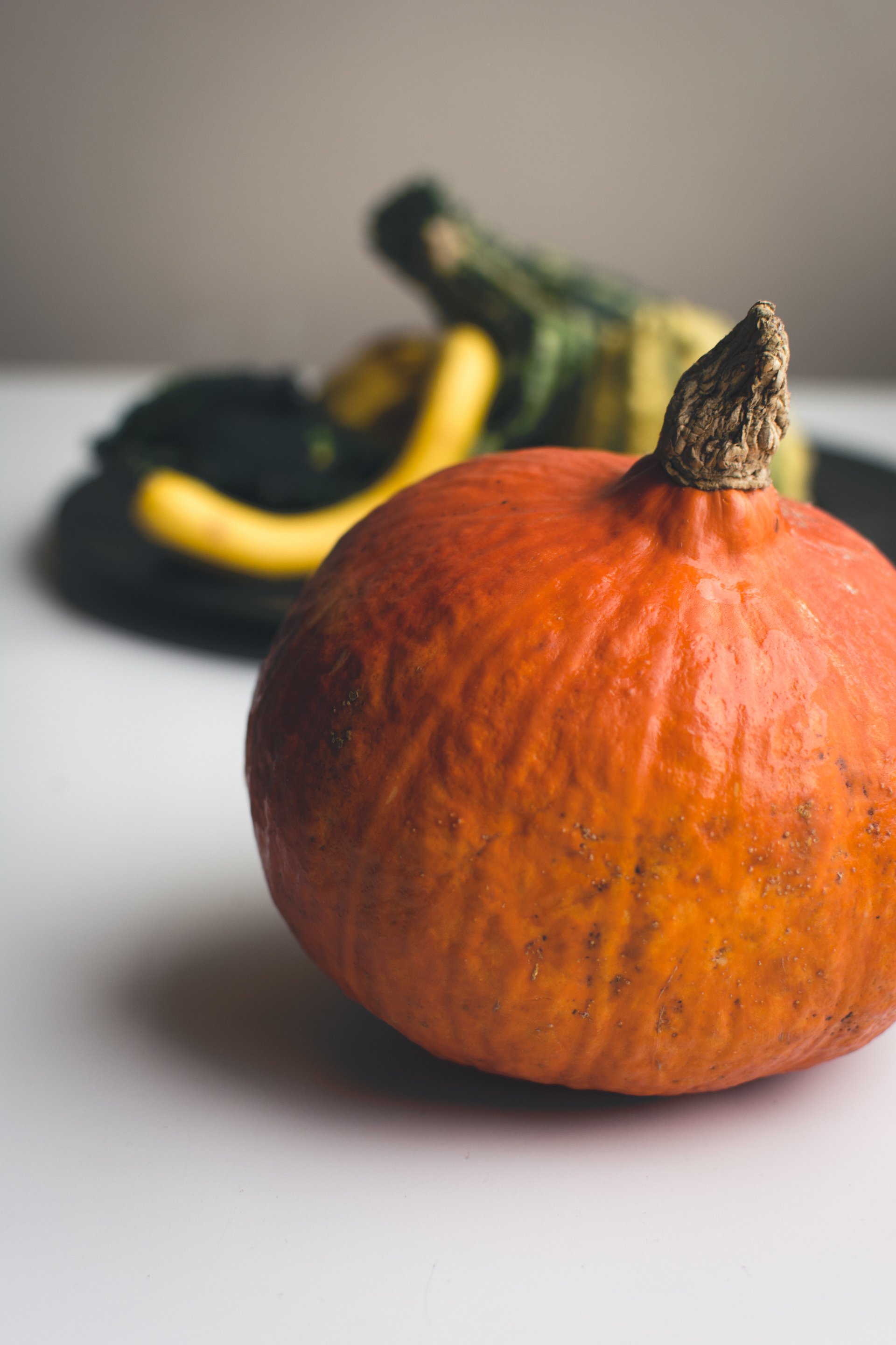  Decorative pumpkins by Jakub Kapusnak