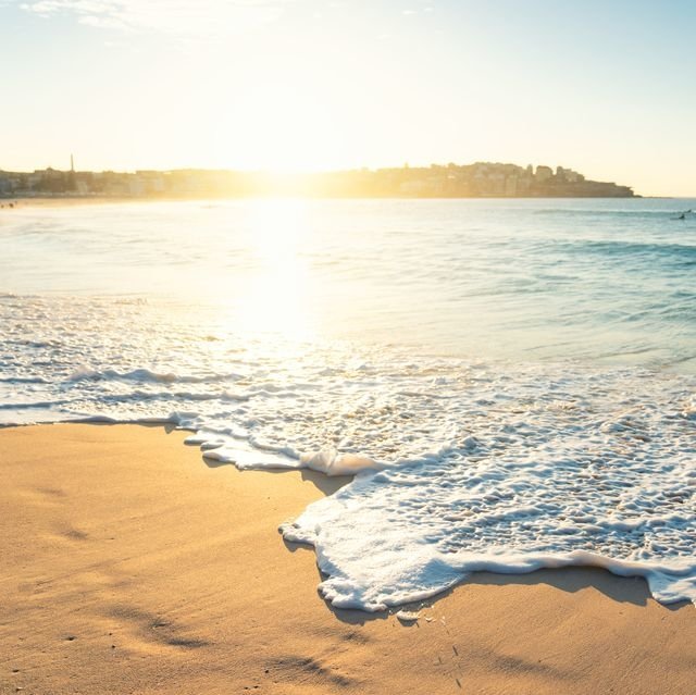 Download Sea Ocean Nature Beach Image