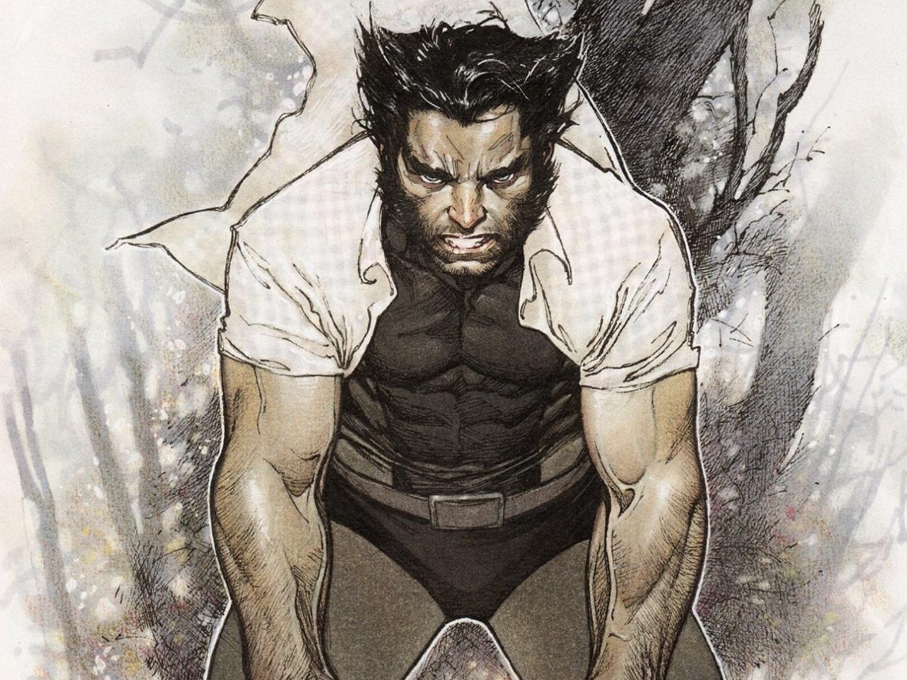 Wolverine Picture. 