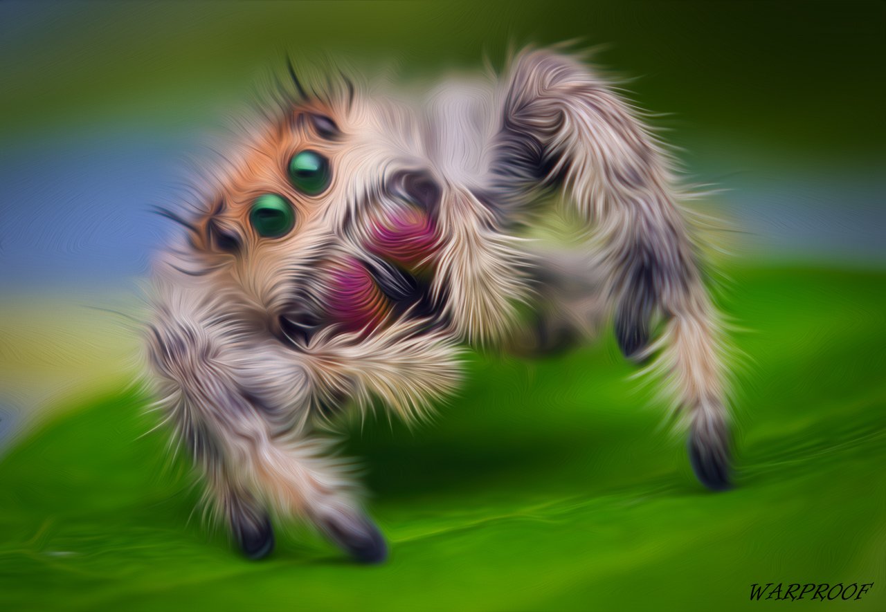 SPIDER by WARPROOF