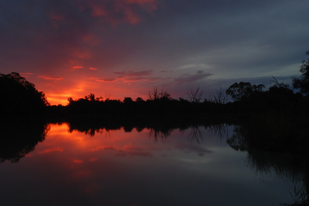 Sunset over the Murray River: a nature scene of silhouetted trees along the riverbank reflected in calm water, vivid red-orange horizon blending into deep blue sky.