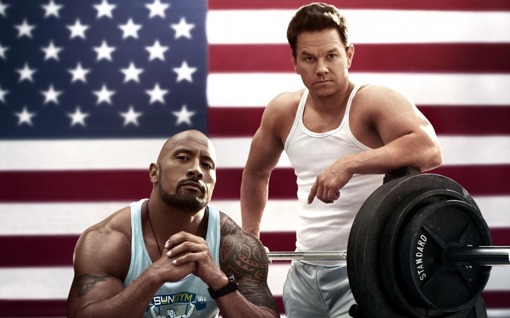 Pain & Gain Picture