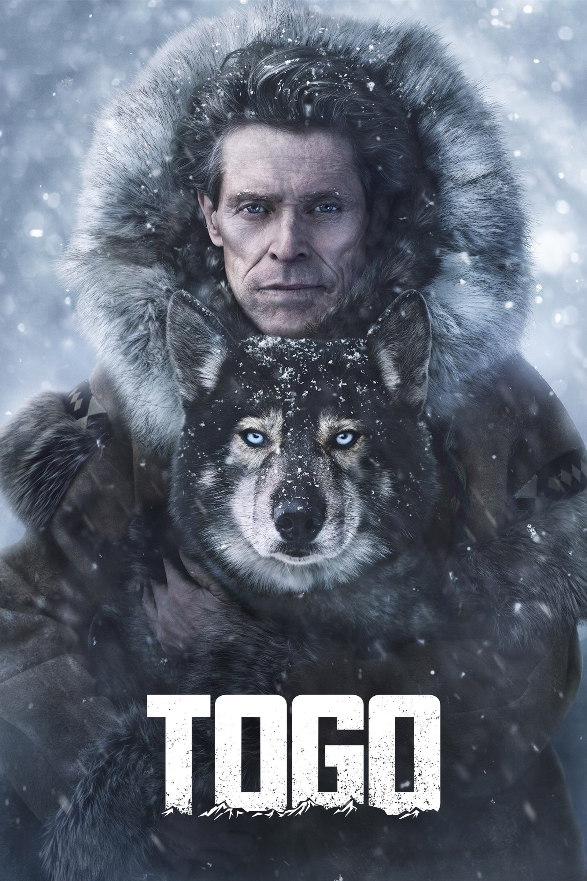 Togo (2019) Desktop Wallpapers, Phone Wallpaper, PFP, Gifs, and More!